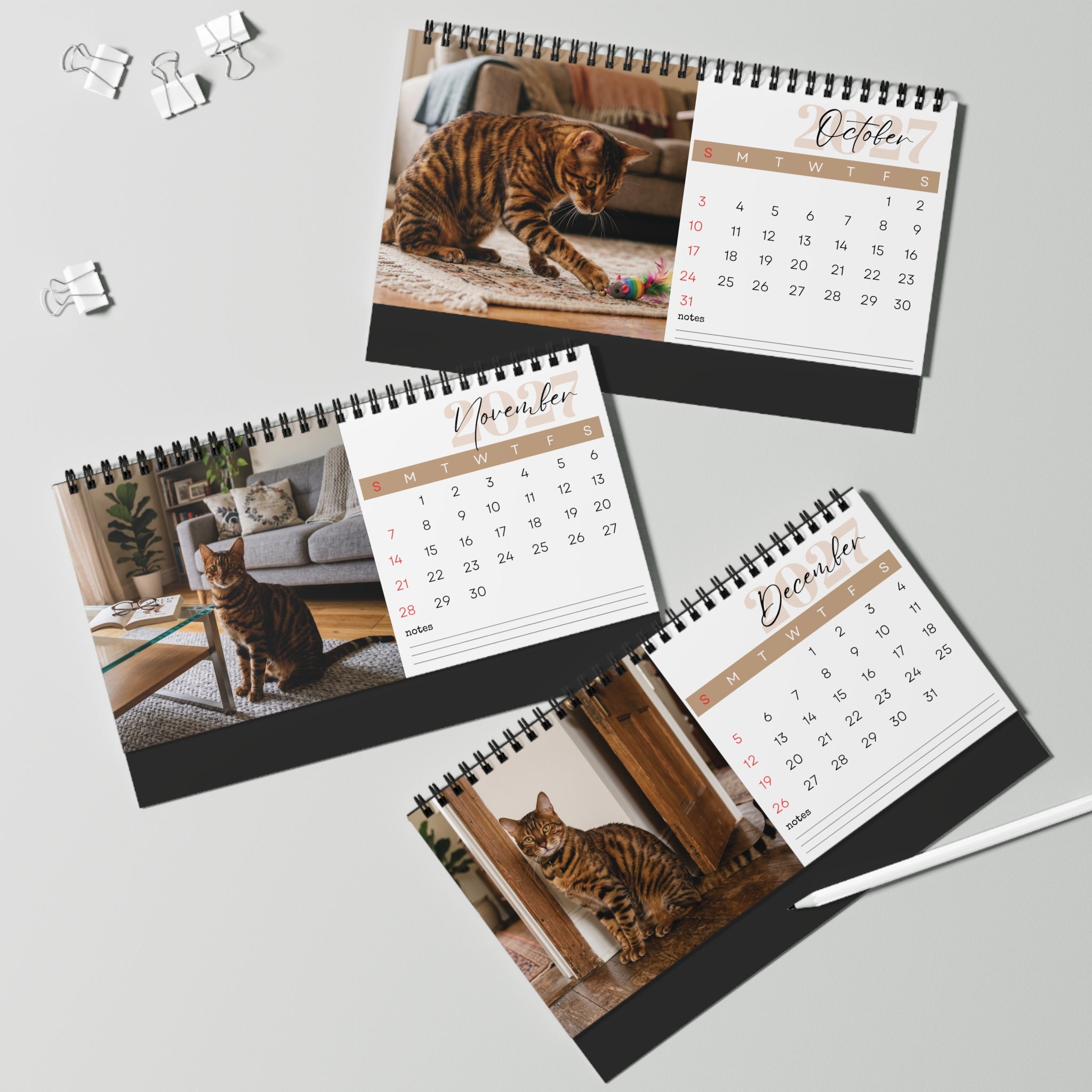 Toyger Cat Desk Calendar 2027