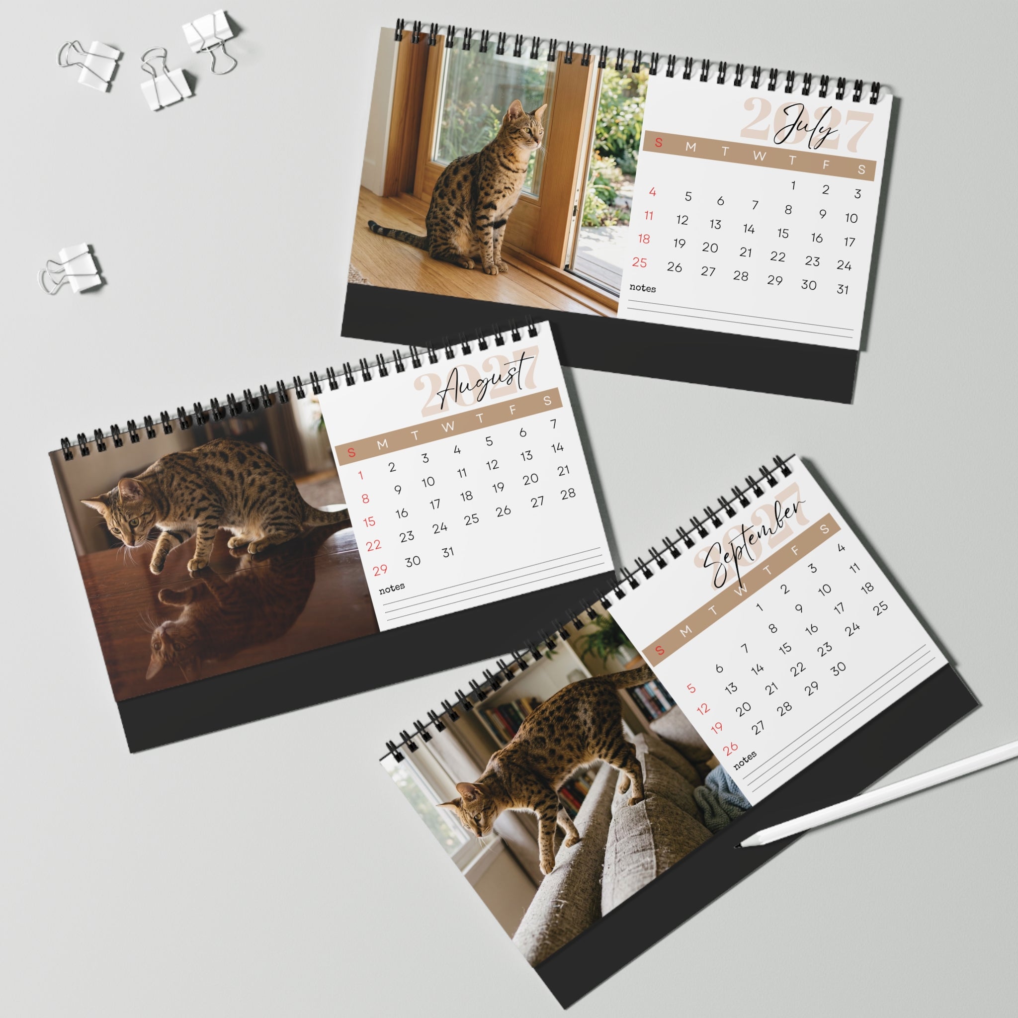 Savannah Cat Desk Calendar 2027