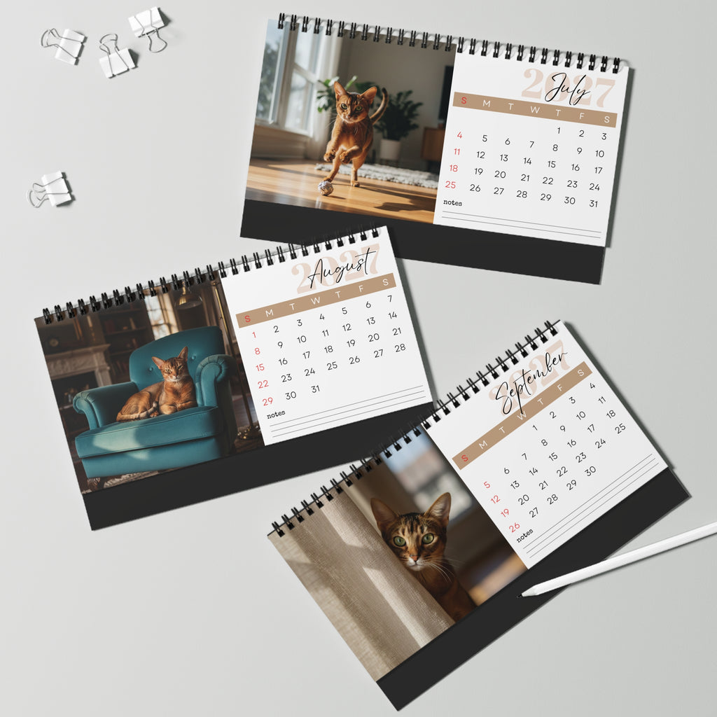 Abyssinian Cat Desk Calendar 2027