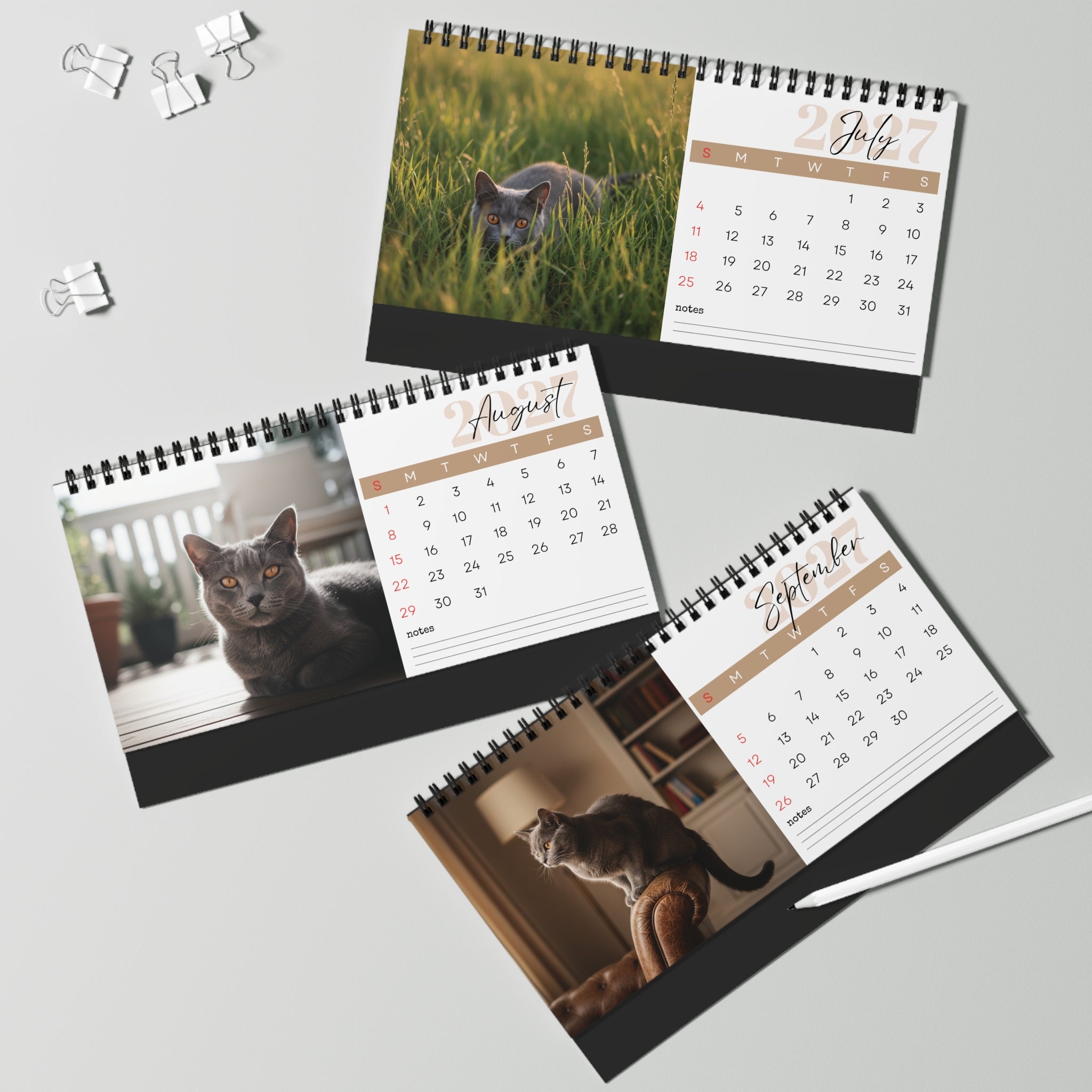 Chartreux Cat Desk Calendar 2027