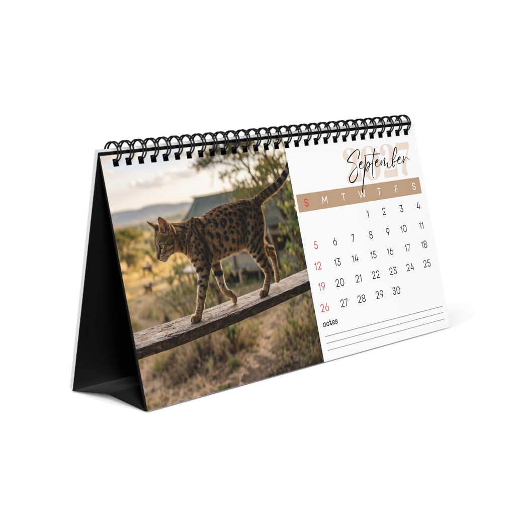 Serengeti Cat Desk Calendar 2027