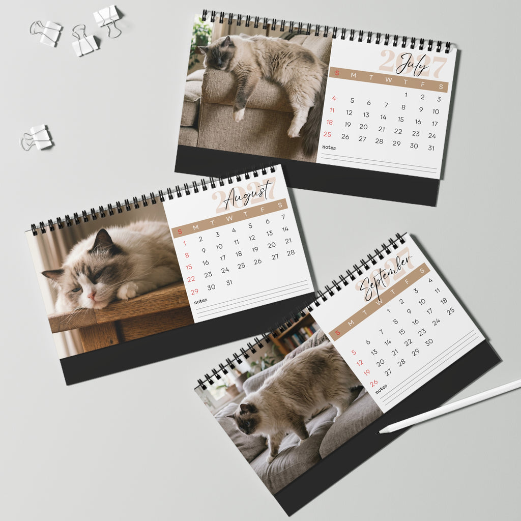 Ragdoll Cat Desk Calendar 2027