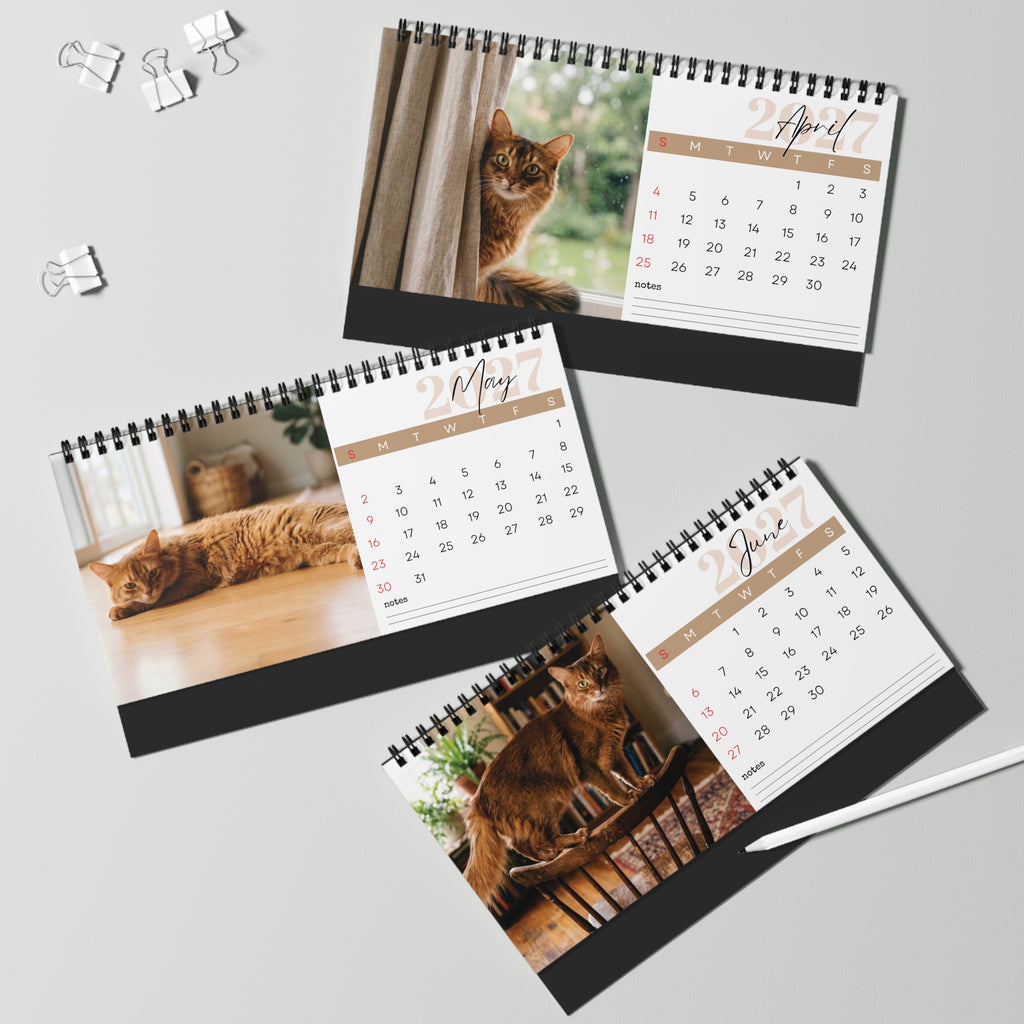Somali Cat Desk Calendar 2027
