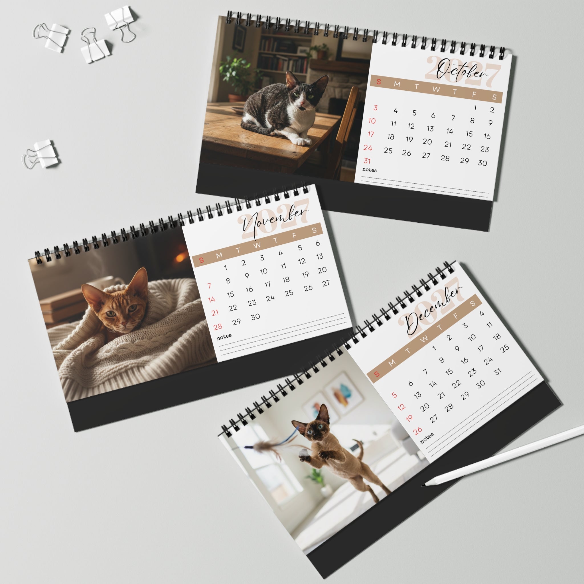 Devon Rex Desk Calendar 2027