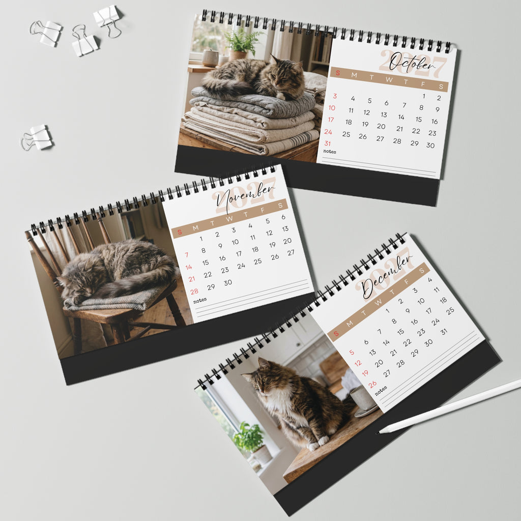 Norwegian Forest Cat Desk Calendar 2027