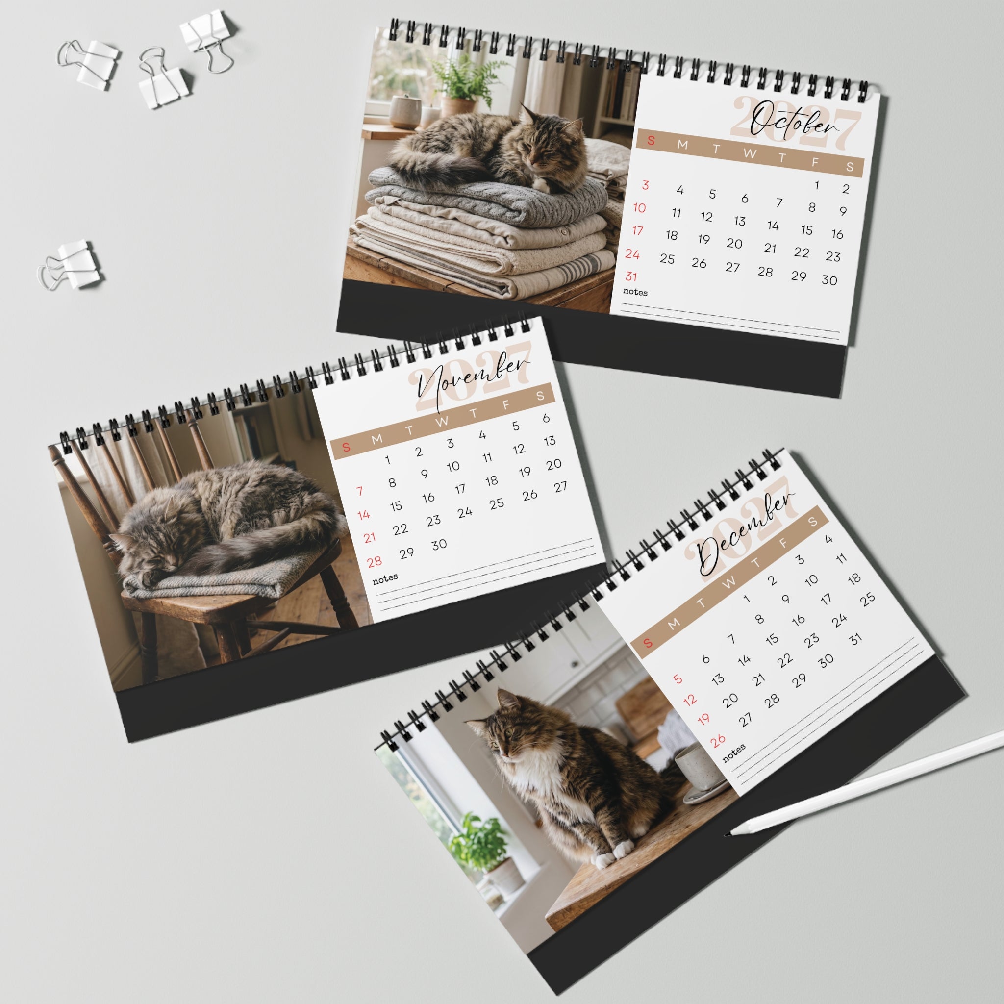 Norwegian Forest Cat Desk Calendar 2027