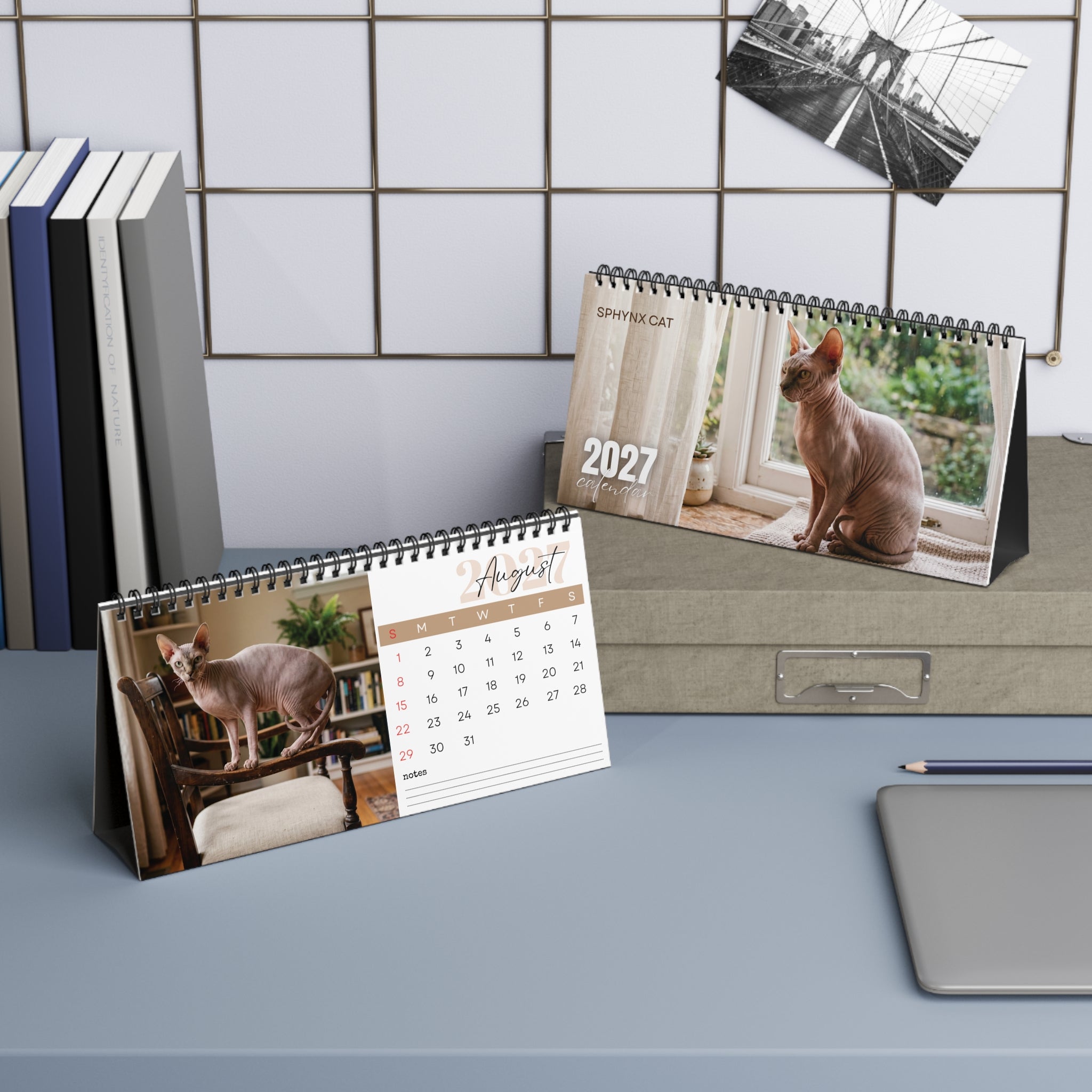 Sphynx Cat Desk Calendar 2027