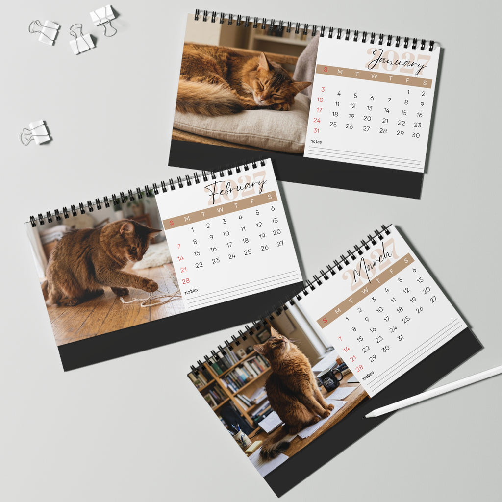 Somali Cat Desk Calendar 2027