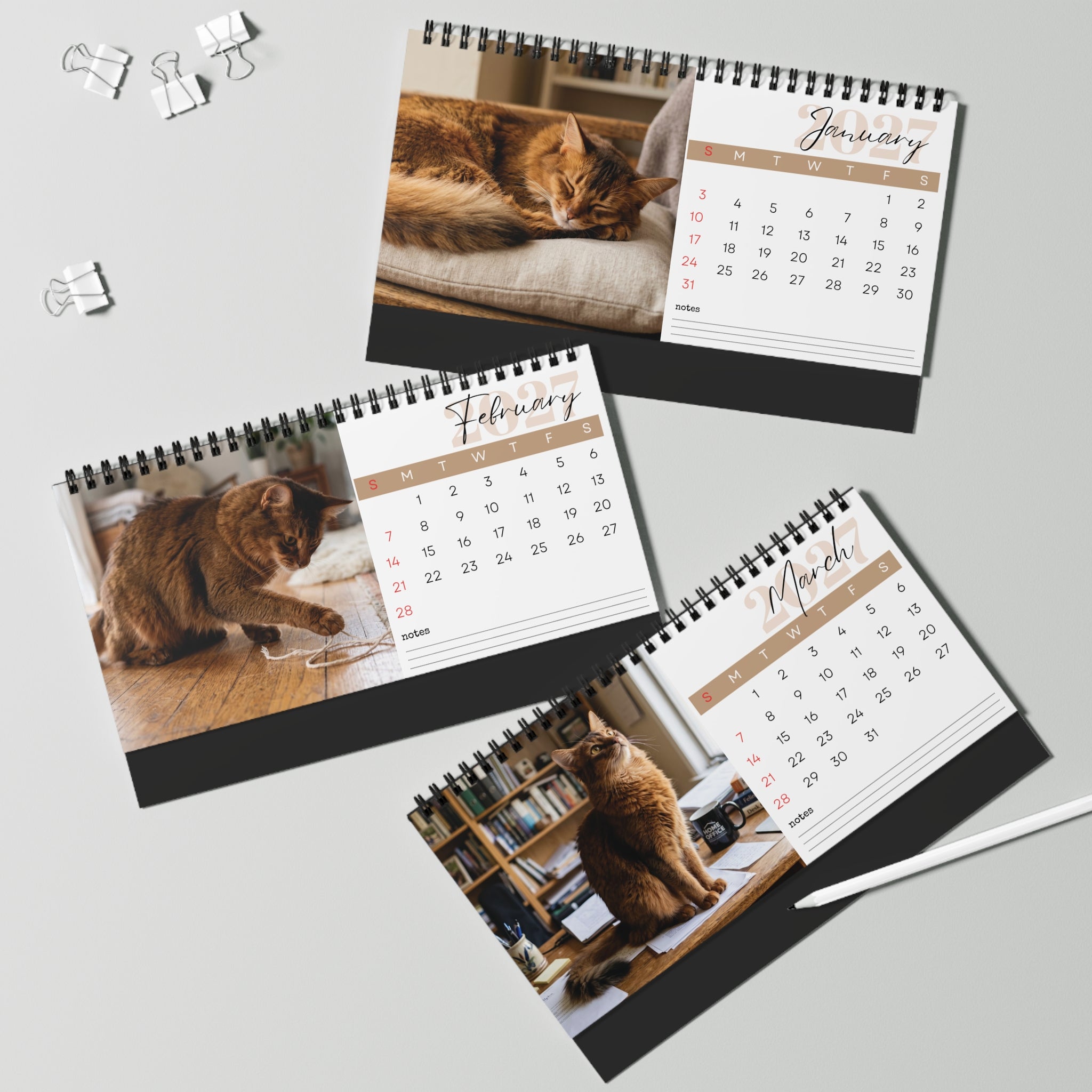 Somali Cat Desk Calendar 2027