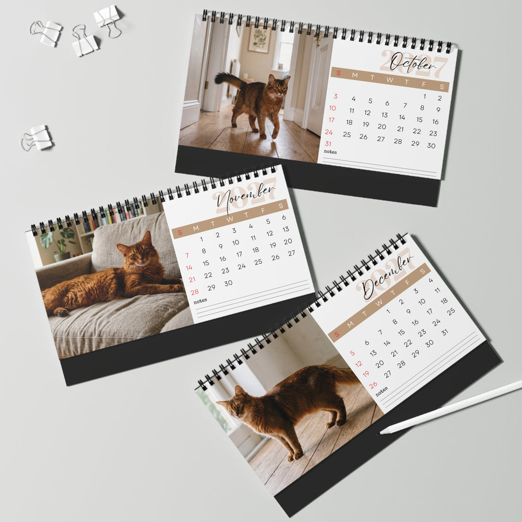 Somali Cat Desk Calendar 2027