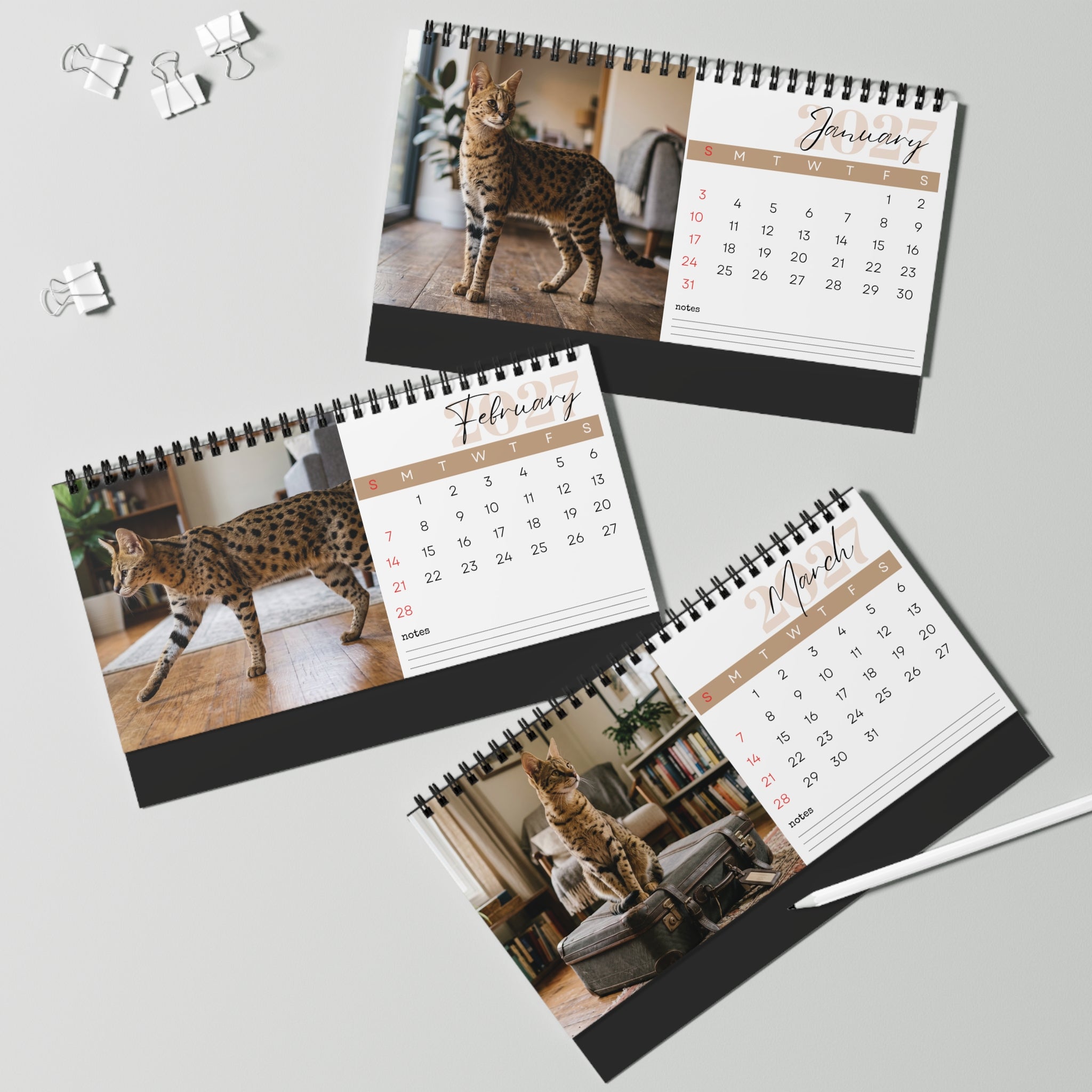 Savannah Cat Desk Calendar 2027