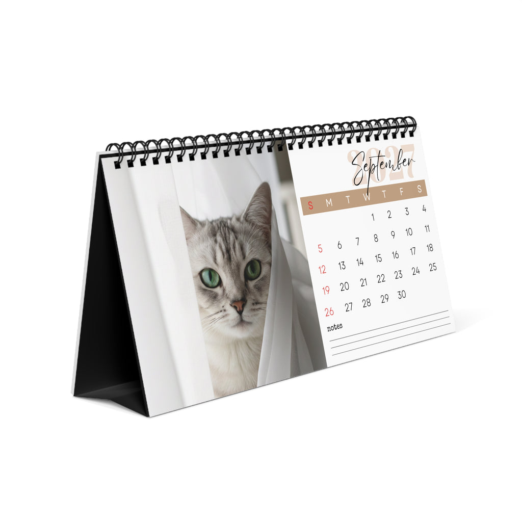 Burmilla Cat Desk Calendar 2027