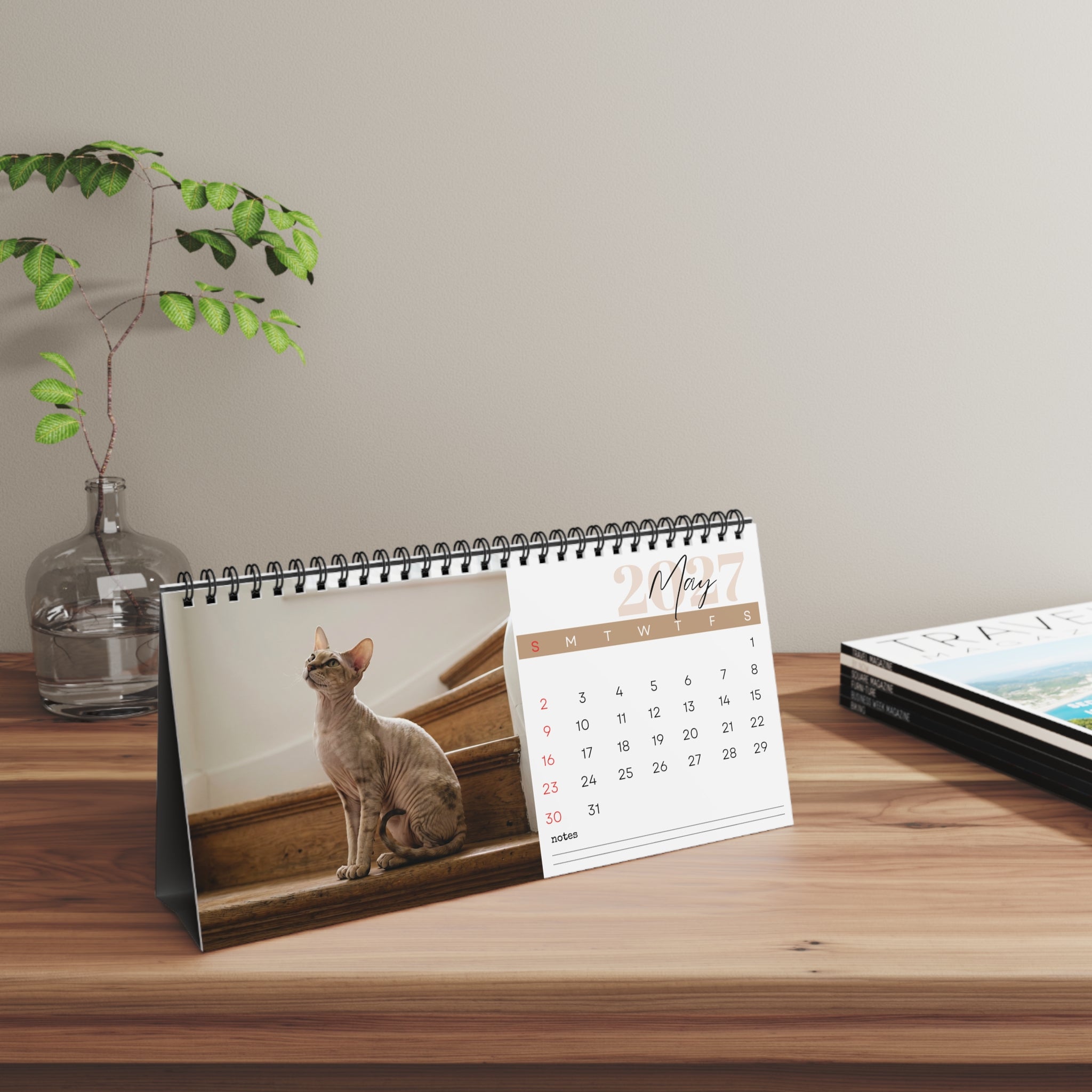 Peterbald Cat Desk Calendar 2027