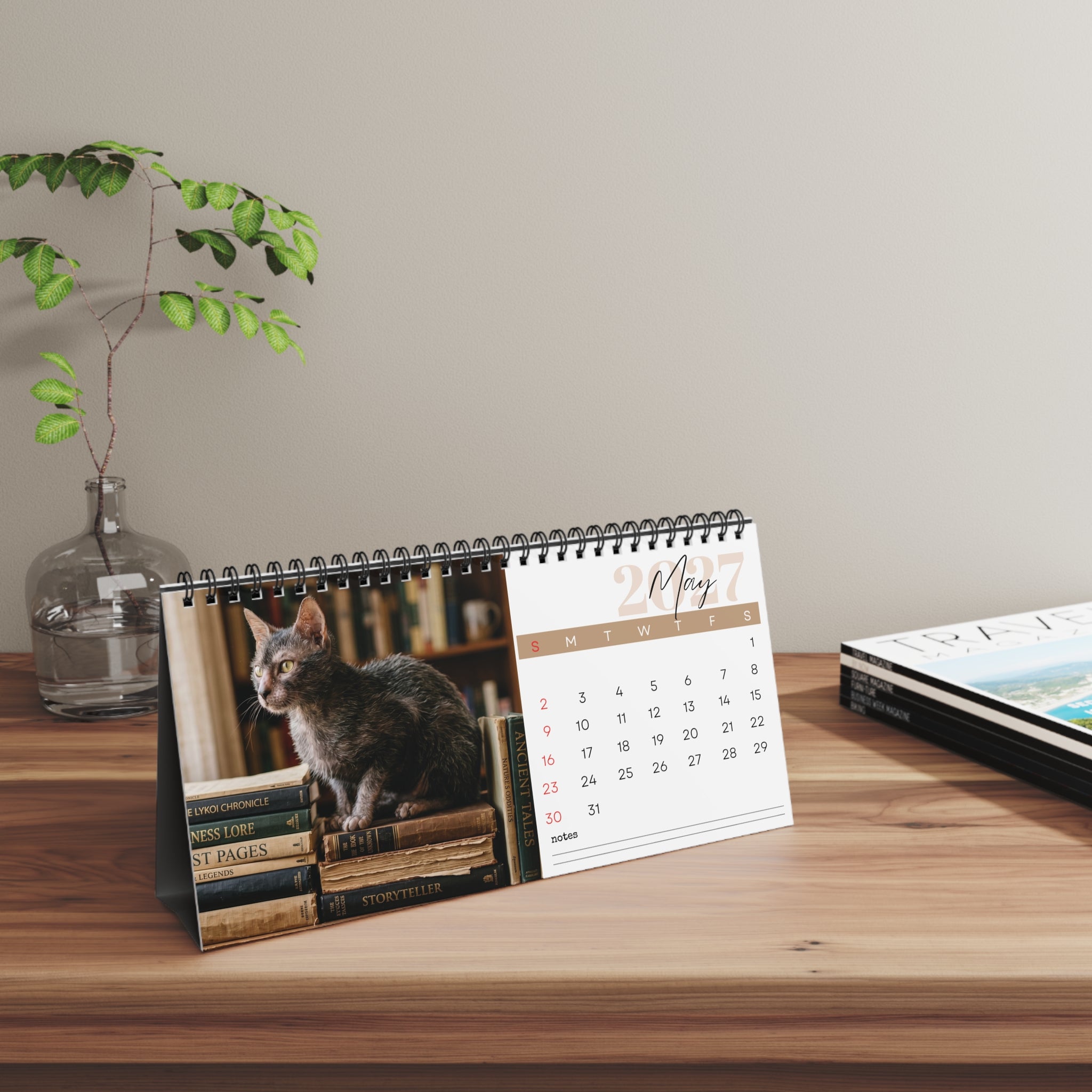 Lykoi Cat Desk Calendar 2027