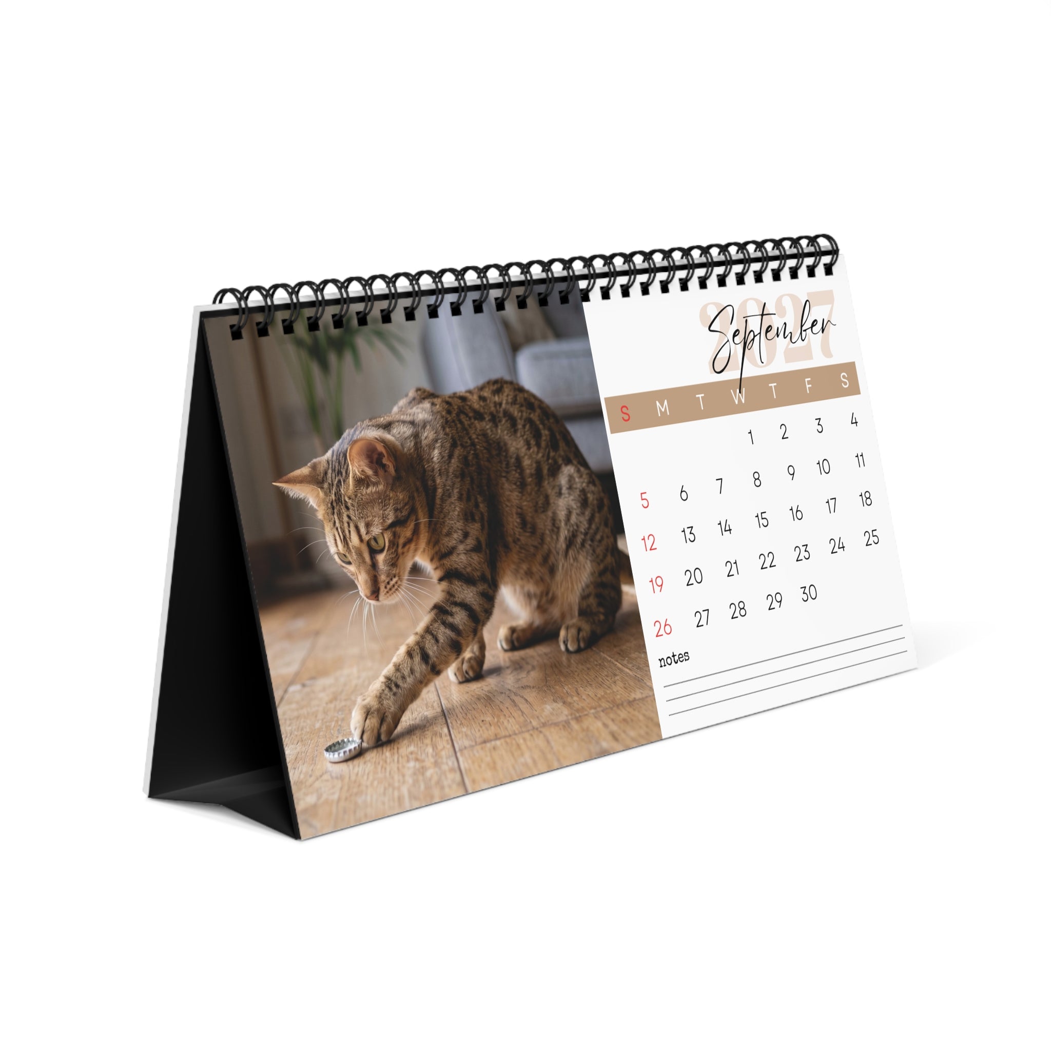 Ocicat Desk Calendar 2027