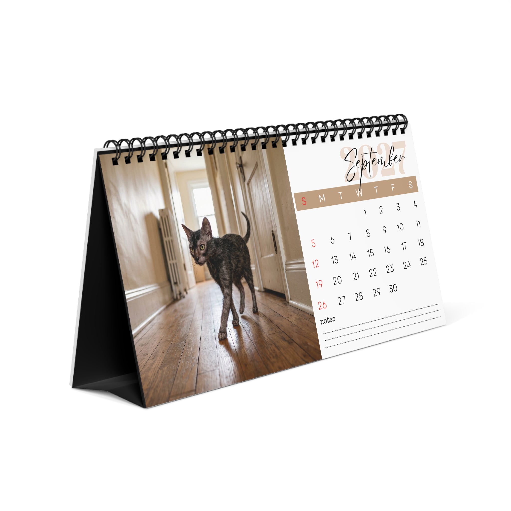 Lykoi Cat Desk Calendar 2027