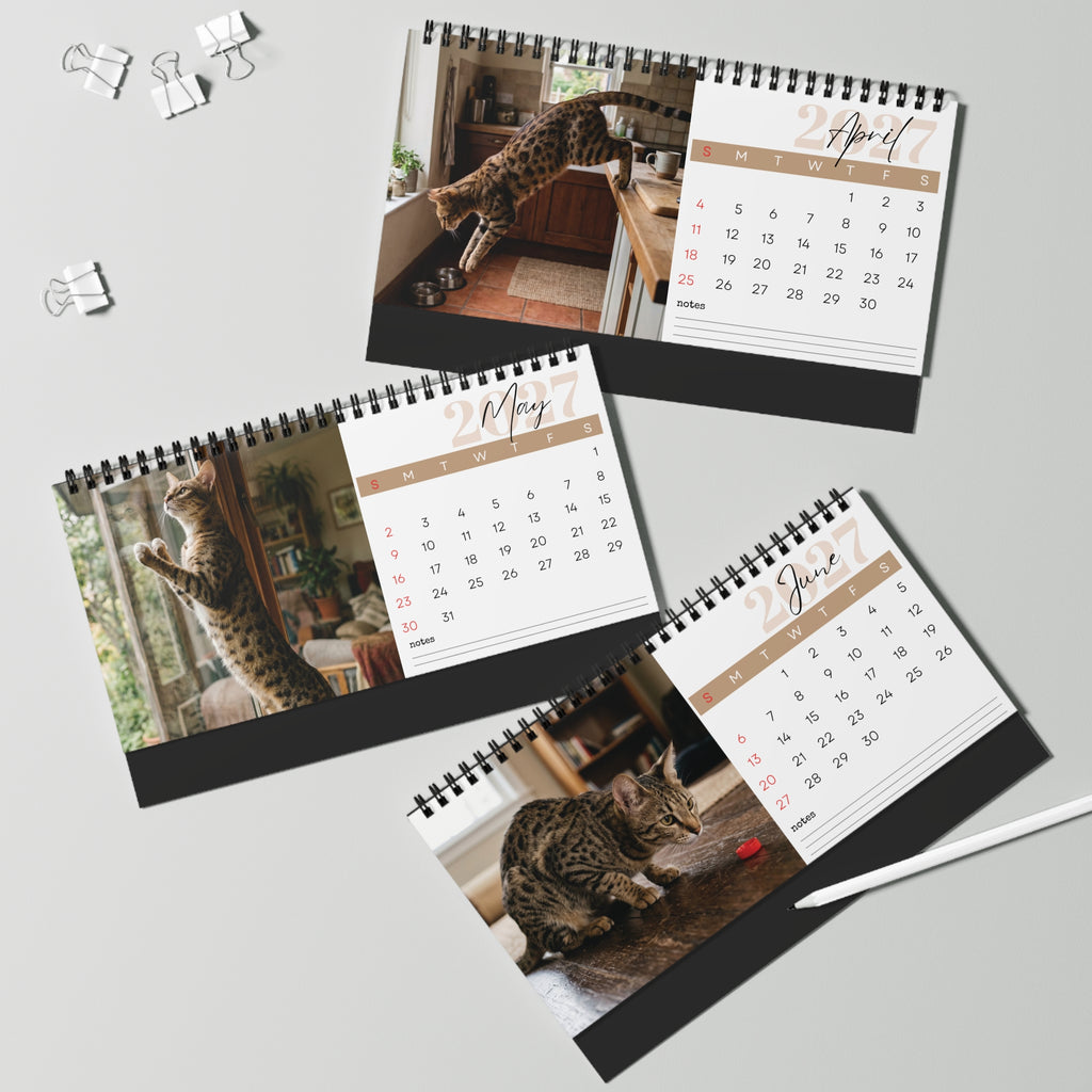 Savannah Cat Desk Calendar 2027