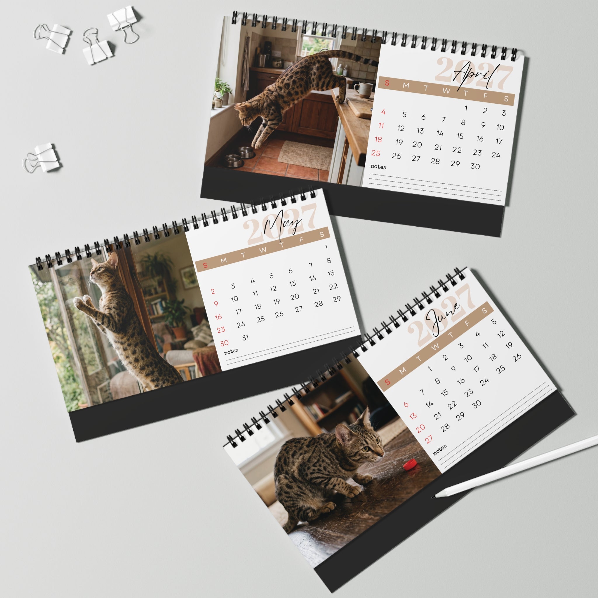 Savannah Cat Desk Calendar 2027