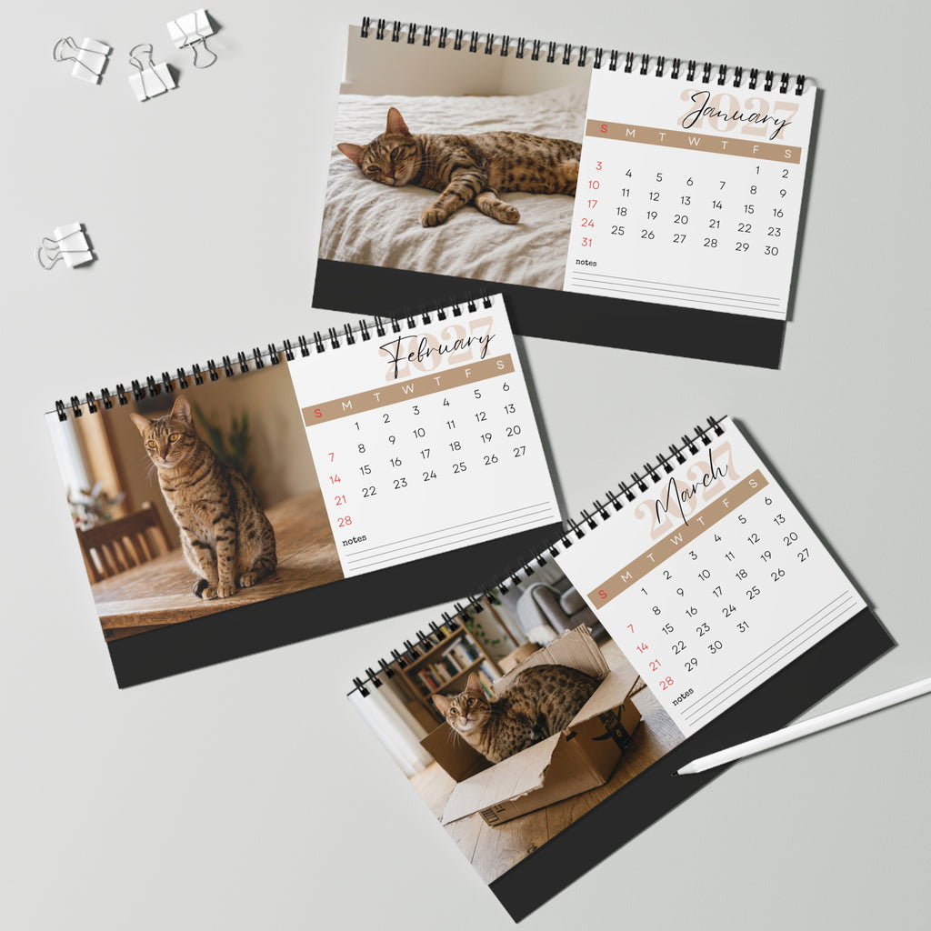 Ocicat Desk Calendar 2027