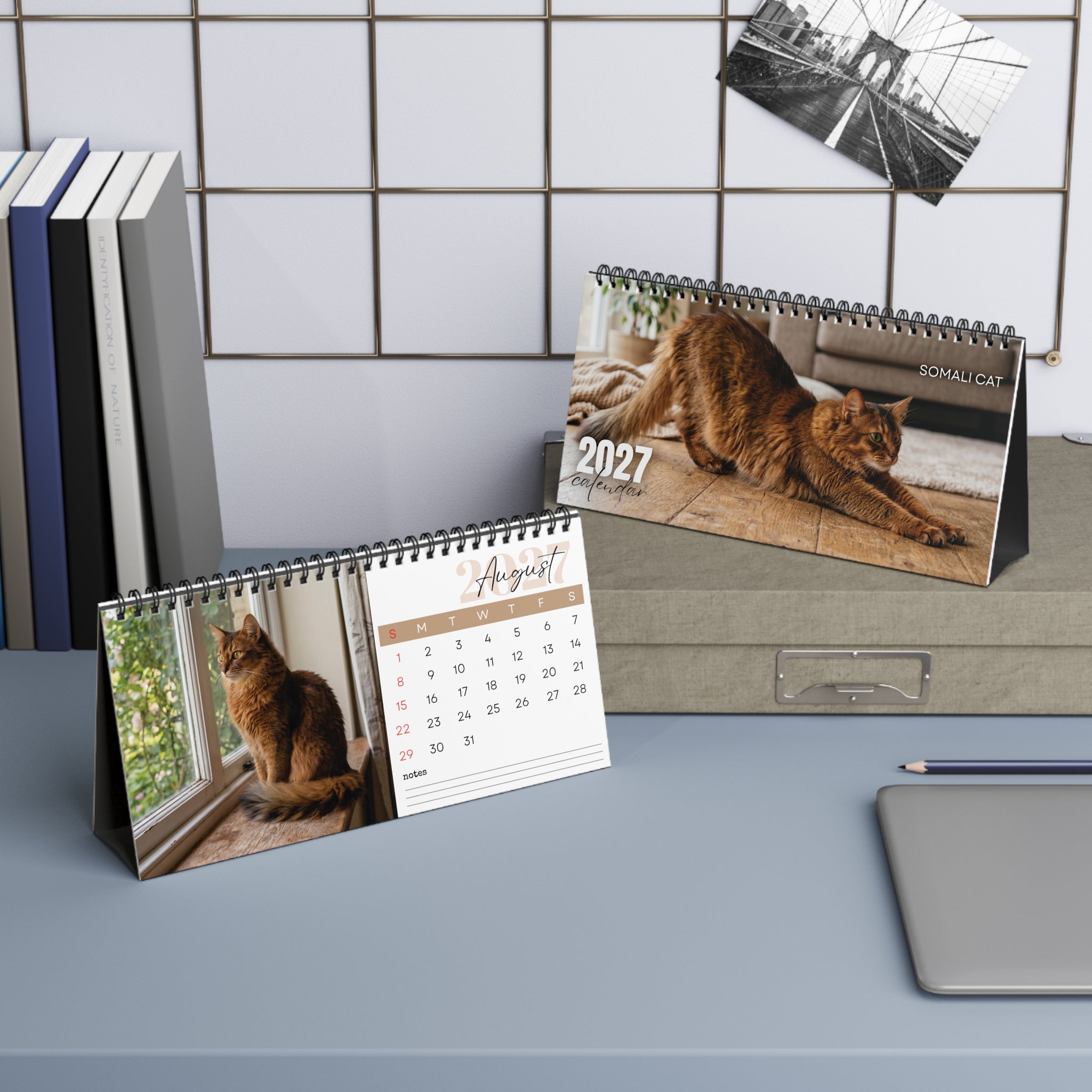 Somali Cat Desk Calendar 2027