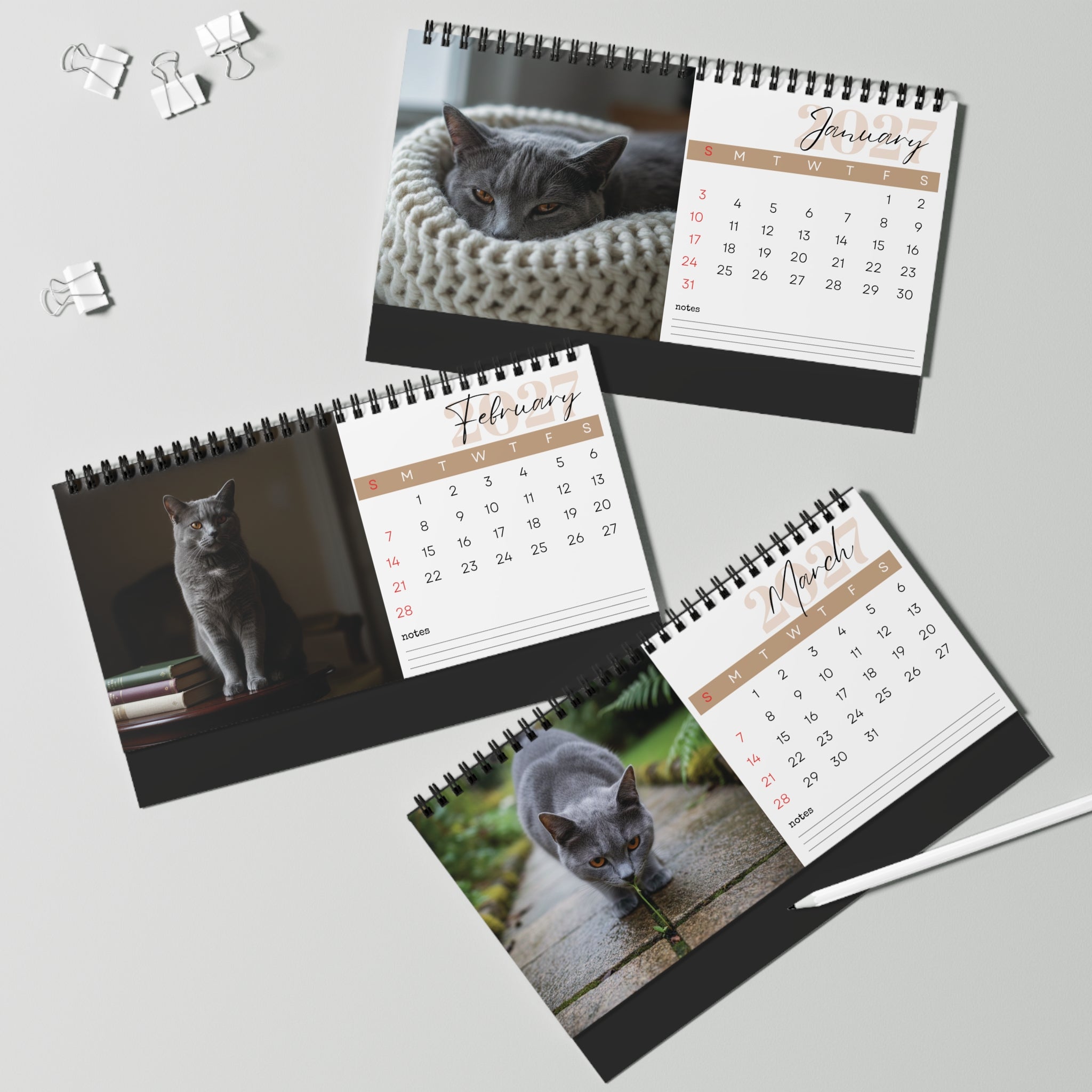 Chartreux Cat Desk Calendar 2027