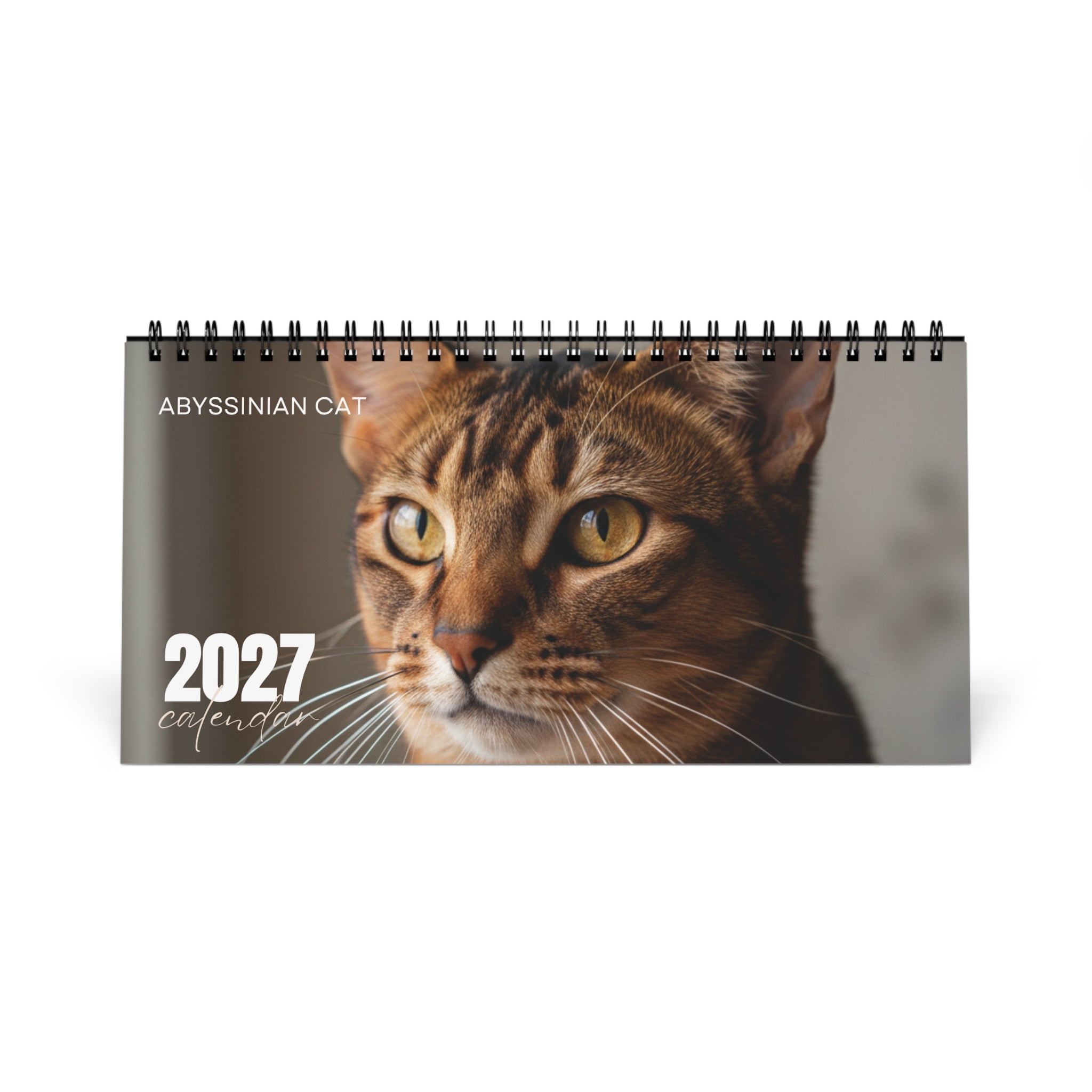 Abyssinian Cat Desk Calendar 2027