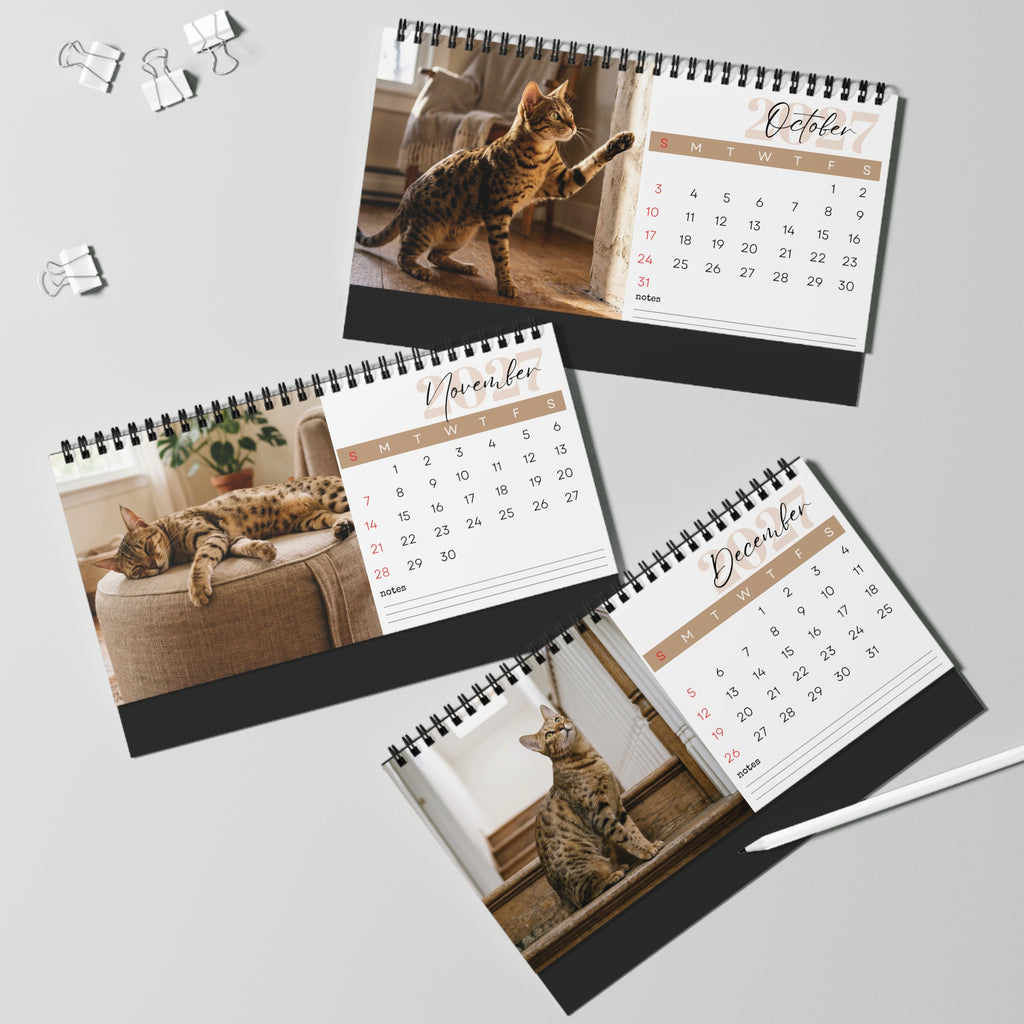 Serengeti Cat Desk Calendar 2027