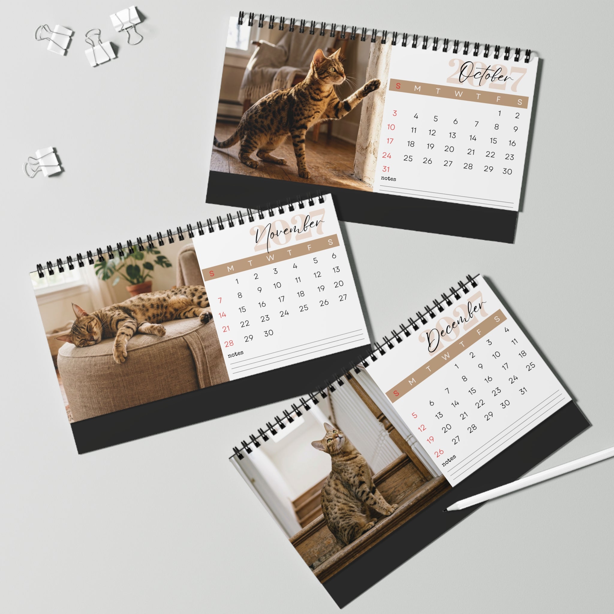 Serengeti Cat Desk Calendar 2027