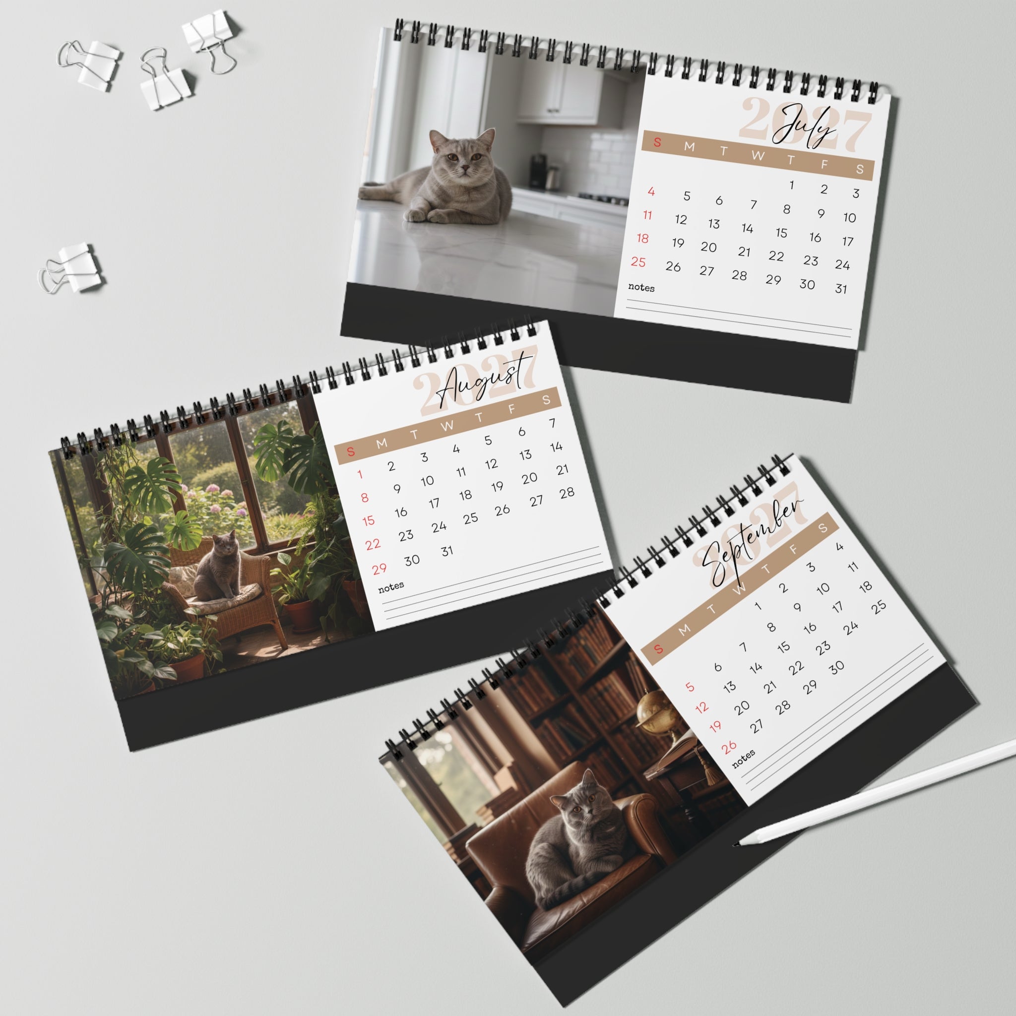 British Shorthair Desk Calendar 2027