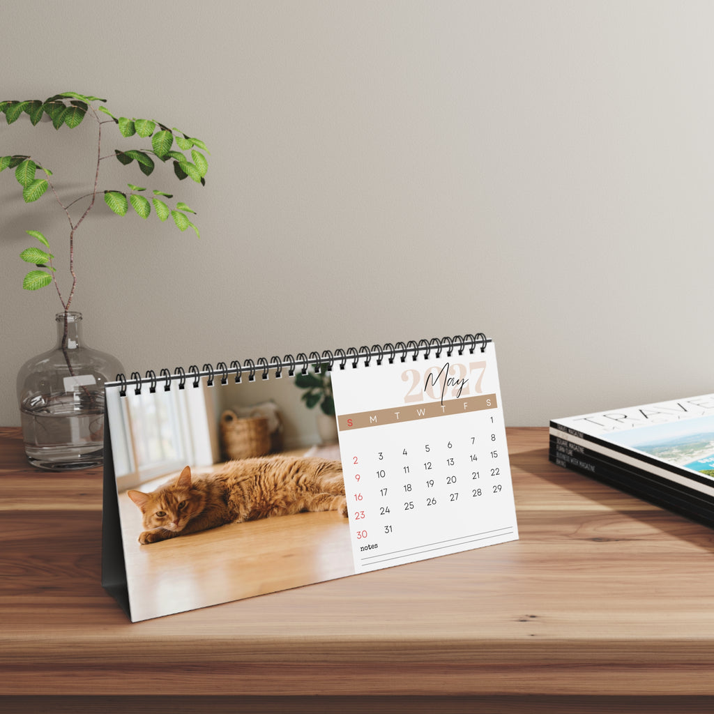 Somali Cat Desk Calendar 2027