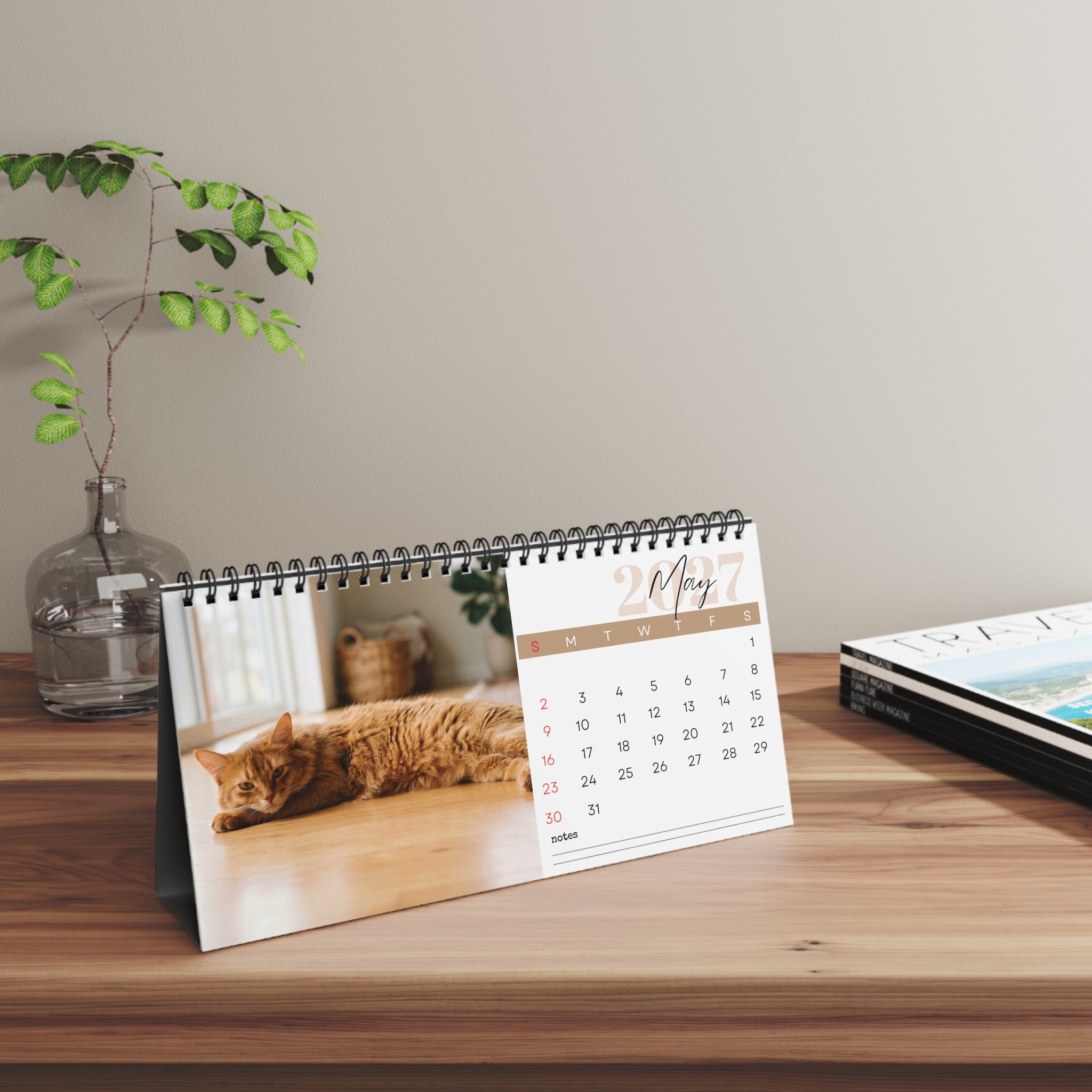 Somali Cat Desk Calendar 2027