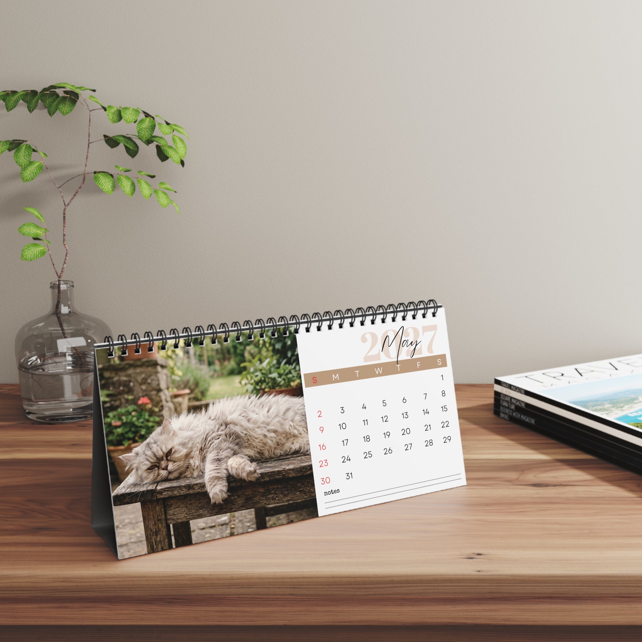 Persian Cat Desk Calendar 2027