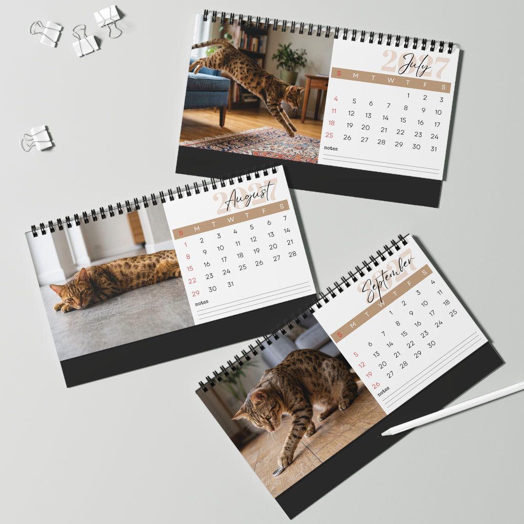 Ocicat Desk Calendar 2027