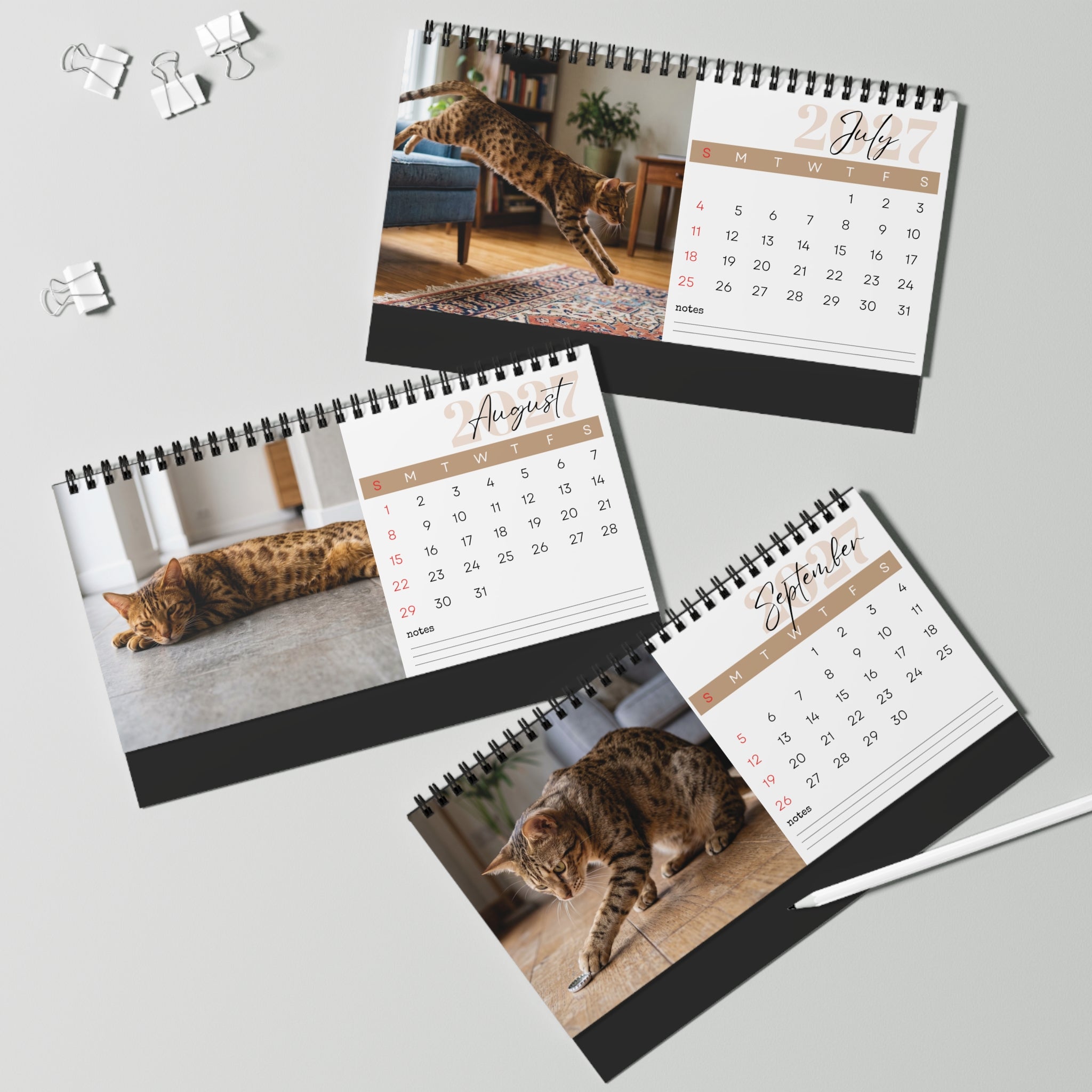 Ocicat Desk Calendar 2027