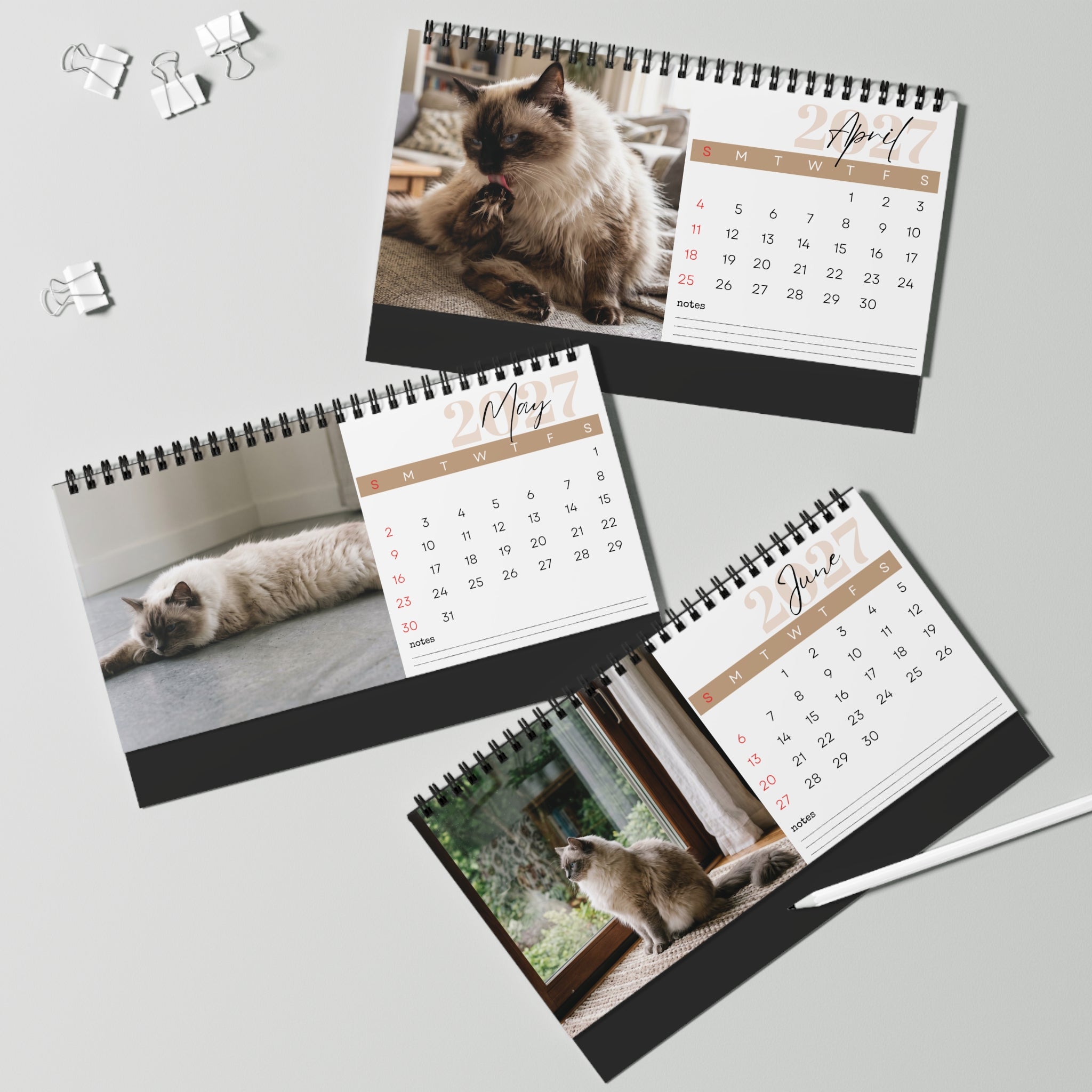 Ragdoll Cat Desk Calendar 2027