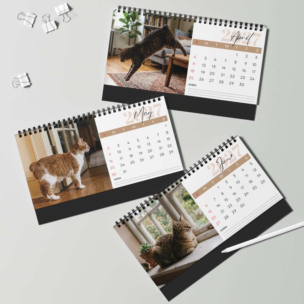 Manx Cat Desk Calendar 2027