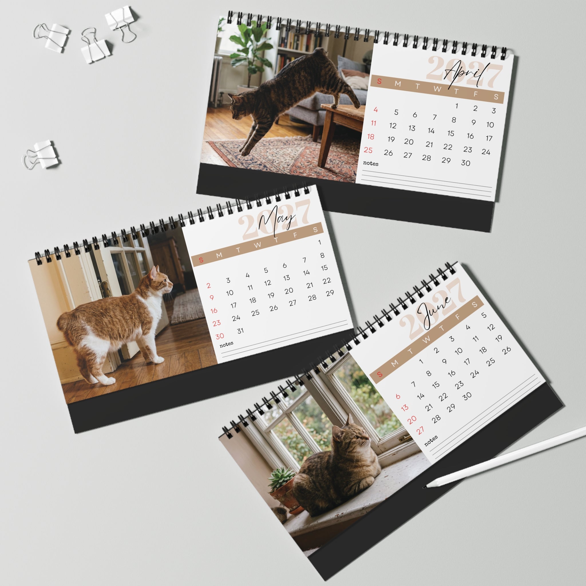 Manx Cat Desk Calendar 2027
