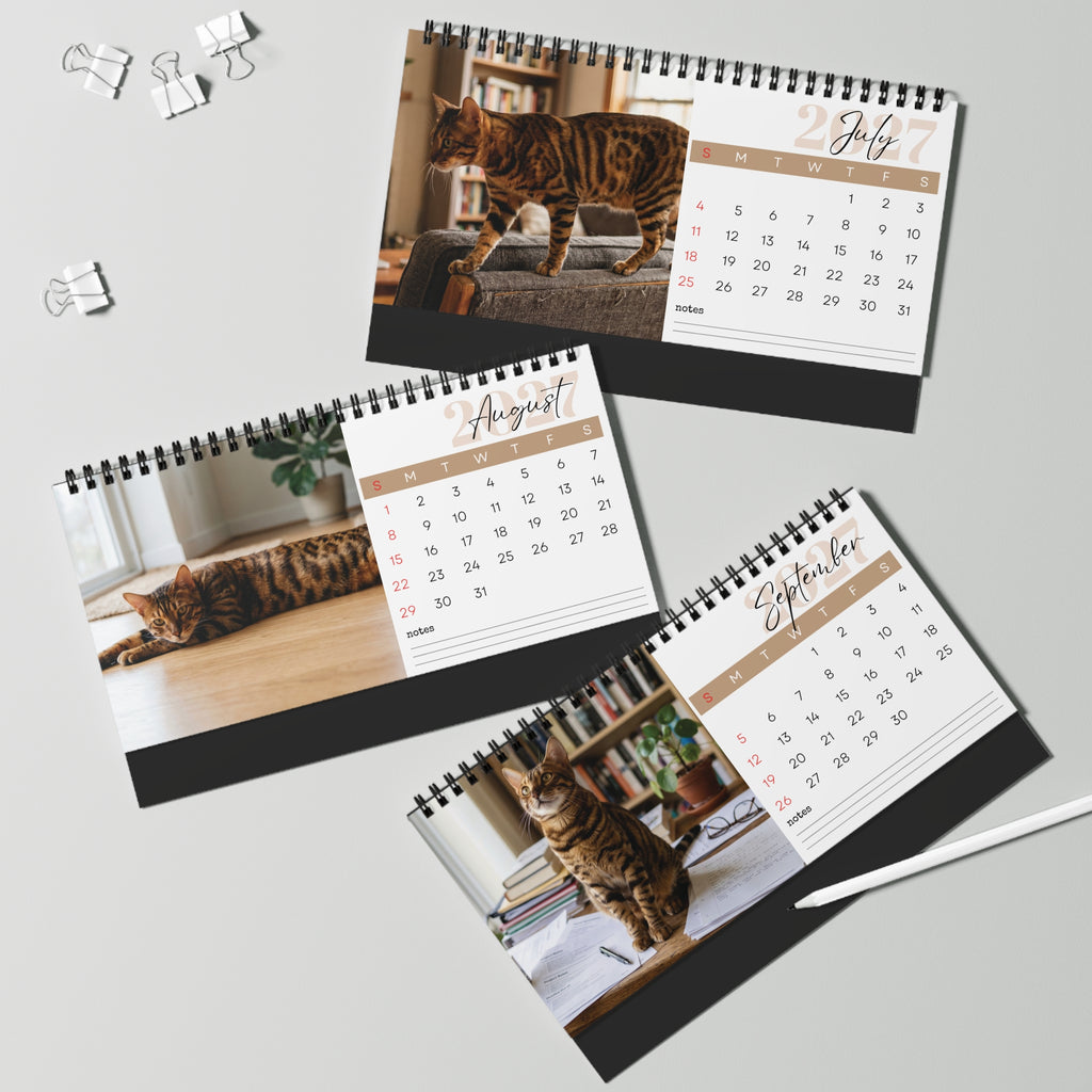 Toyger Cat Desk Calendar 2027