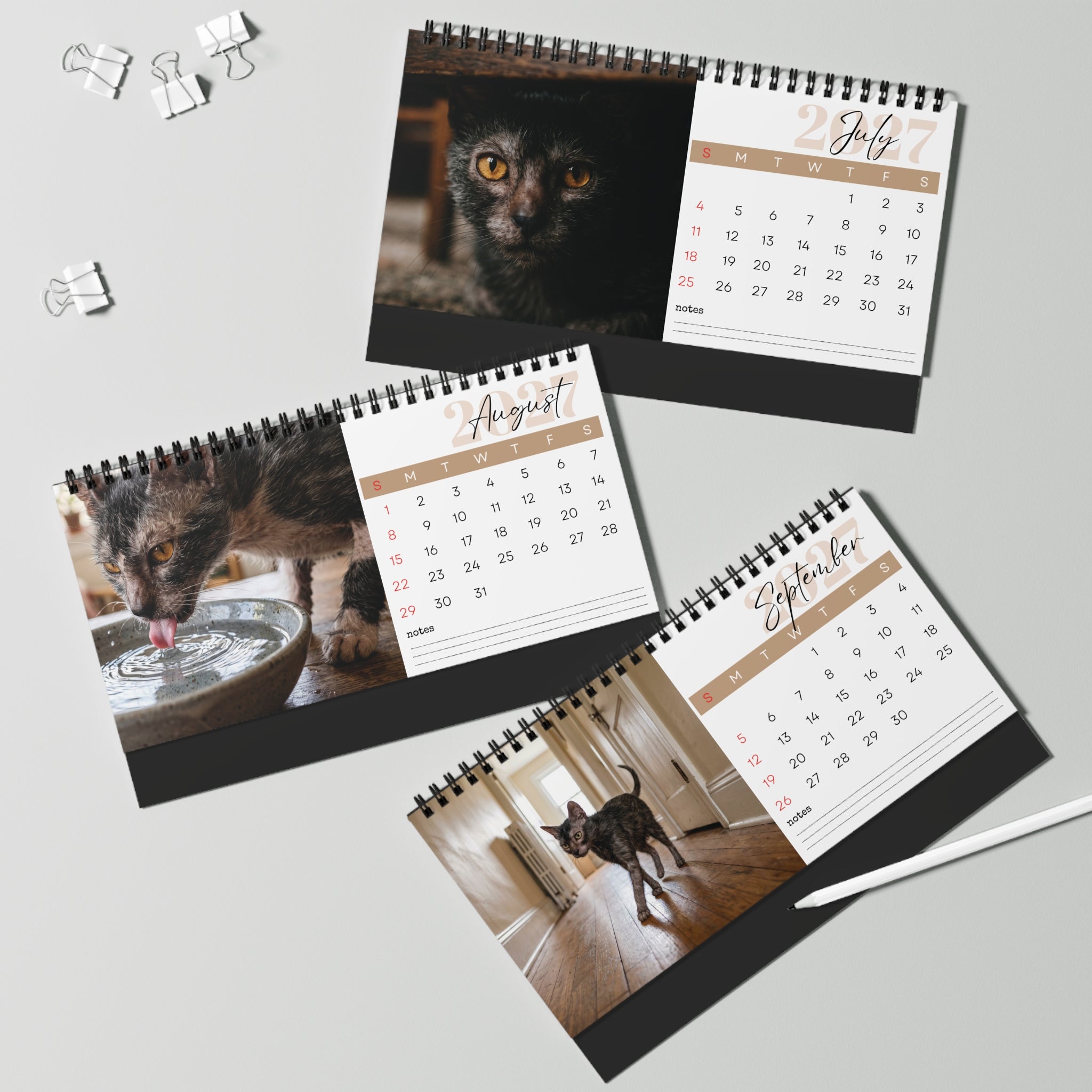 Lykoi Cat Desk Calendar 2027