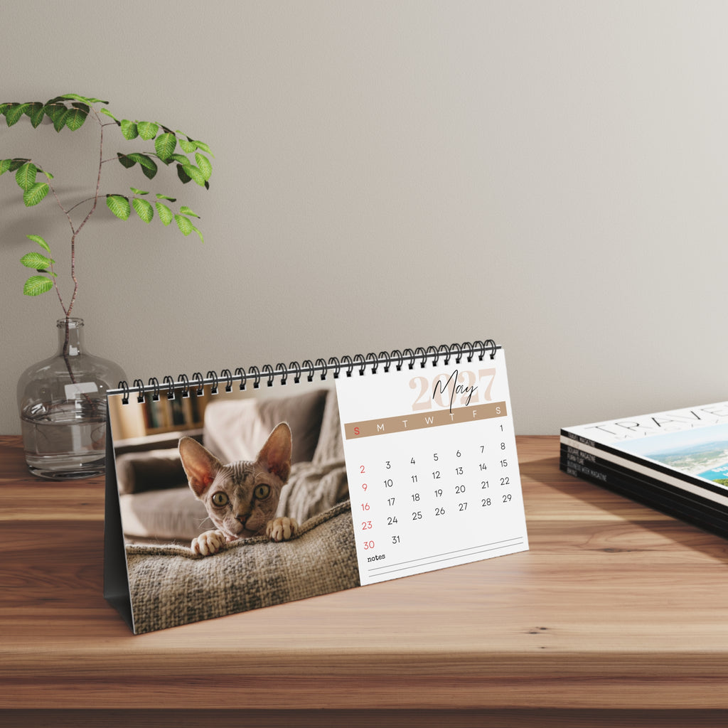 Minskin Cat Desk Calendar 2027