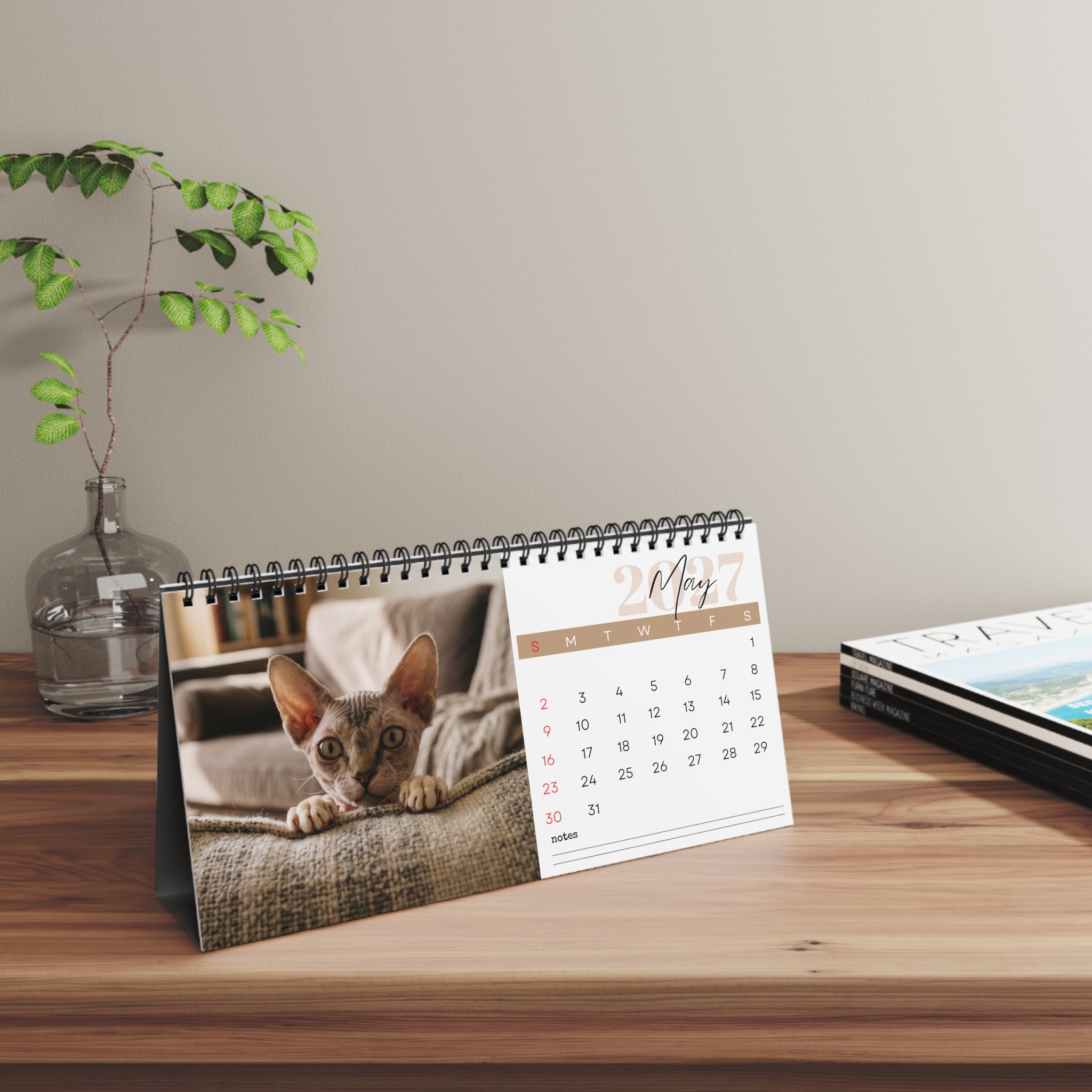 Minskin Cat Desk Calendar 2027