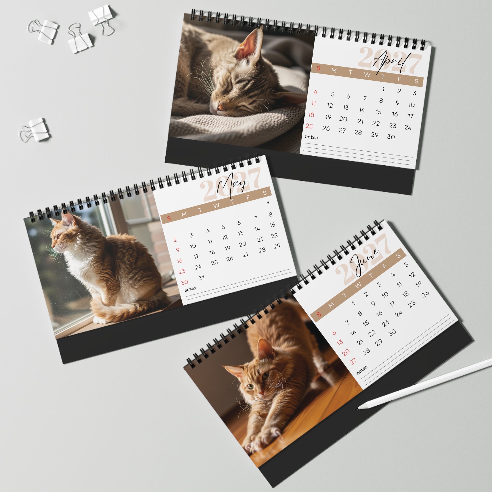 LaPerm Desk Calendar 2027