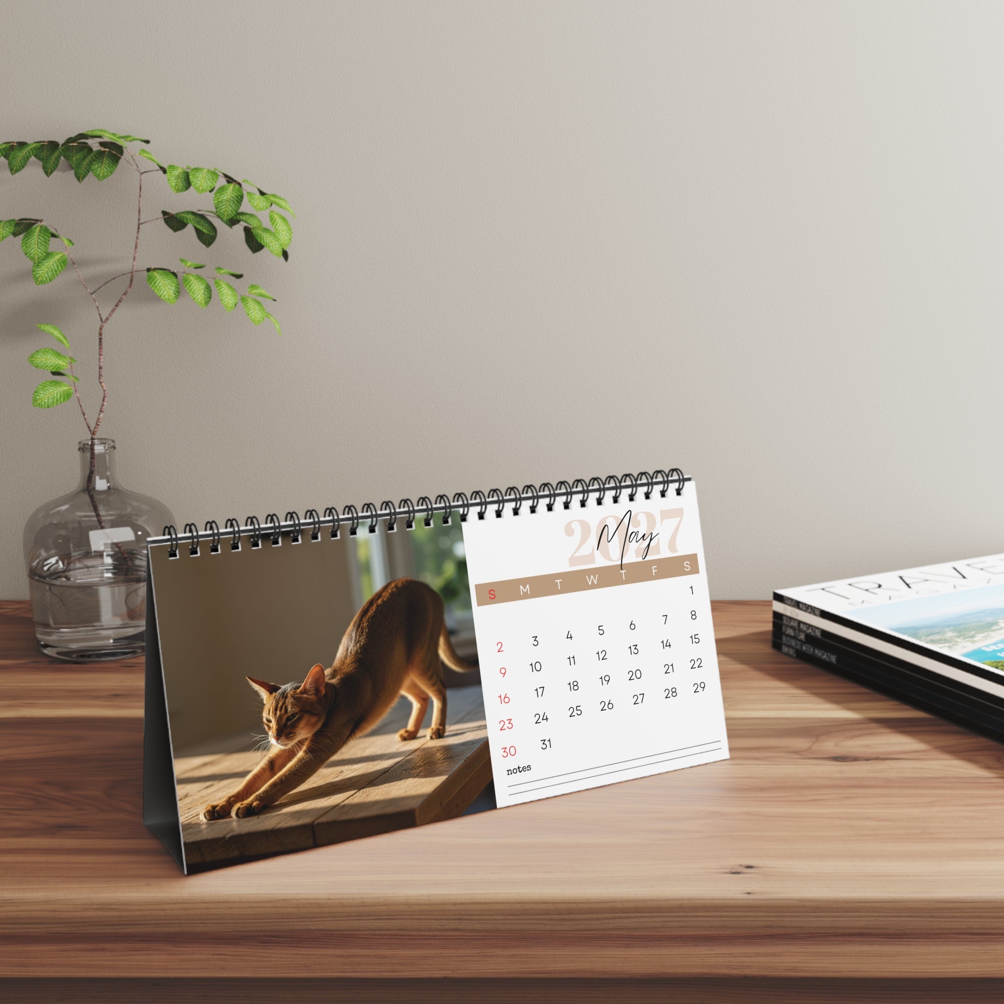 Abyssinian Cat Desk Calendar 2027