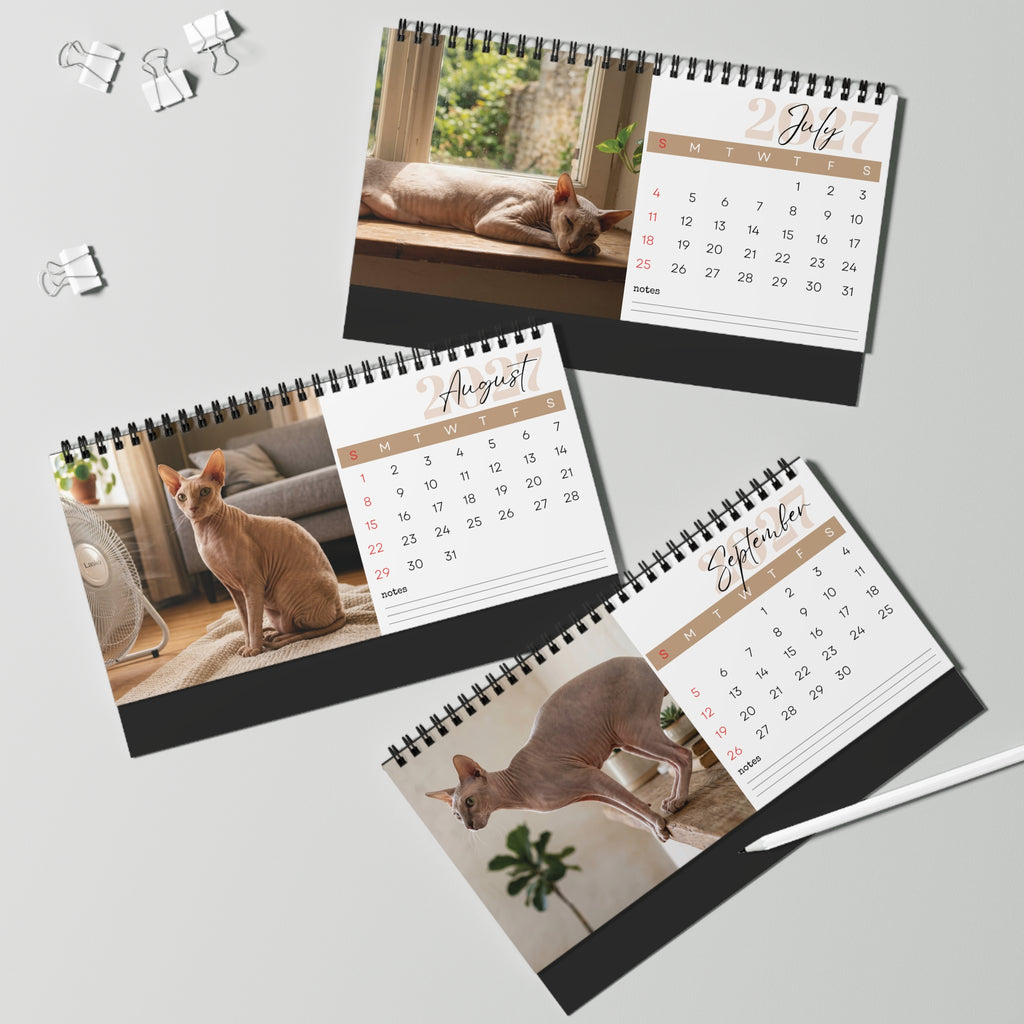 Peterbald Cat Desk Calendar 2027