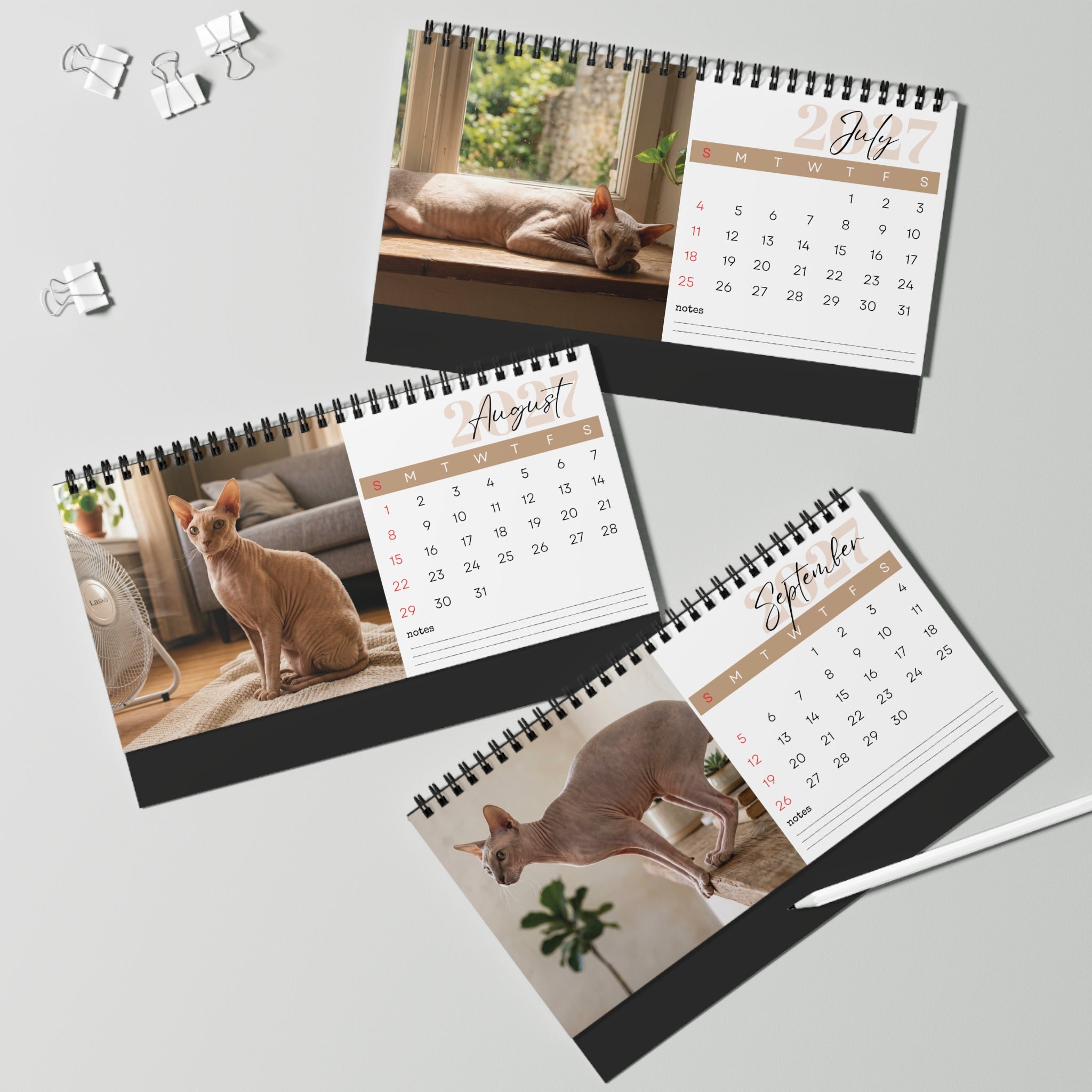 Peterbald Cat Desk Calendar 2027