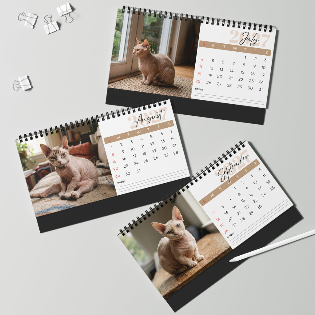 Minskin Cat Desk Calendar 2027