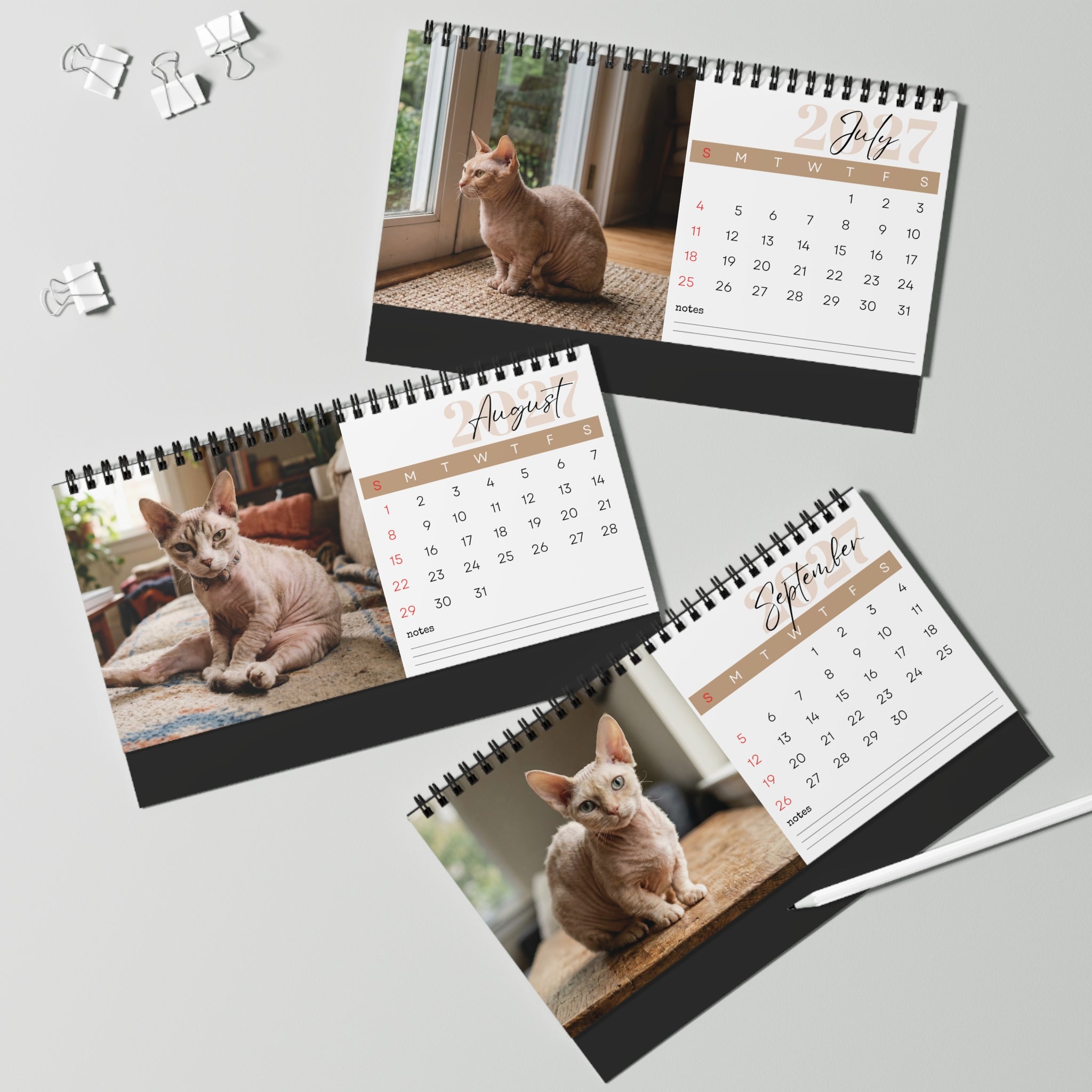 Minskin Cat Desk Calendar 2027