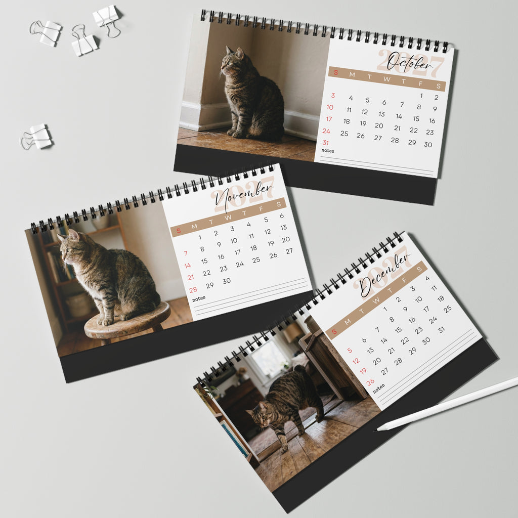 Manx Cat Desk Calendar 2027