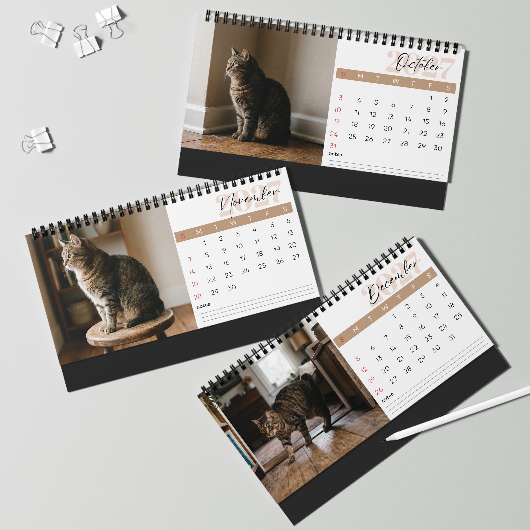 Manx Cat Desk Calendar 2027