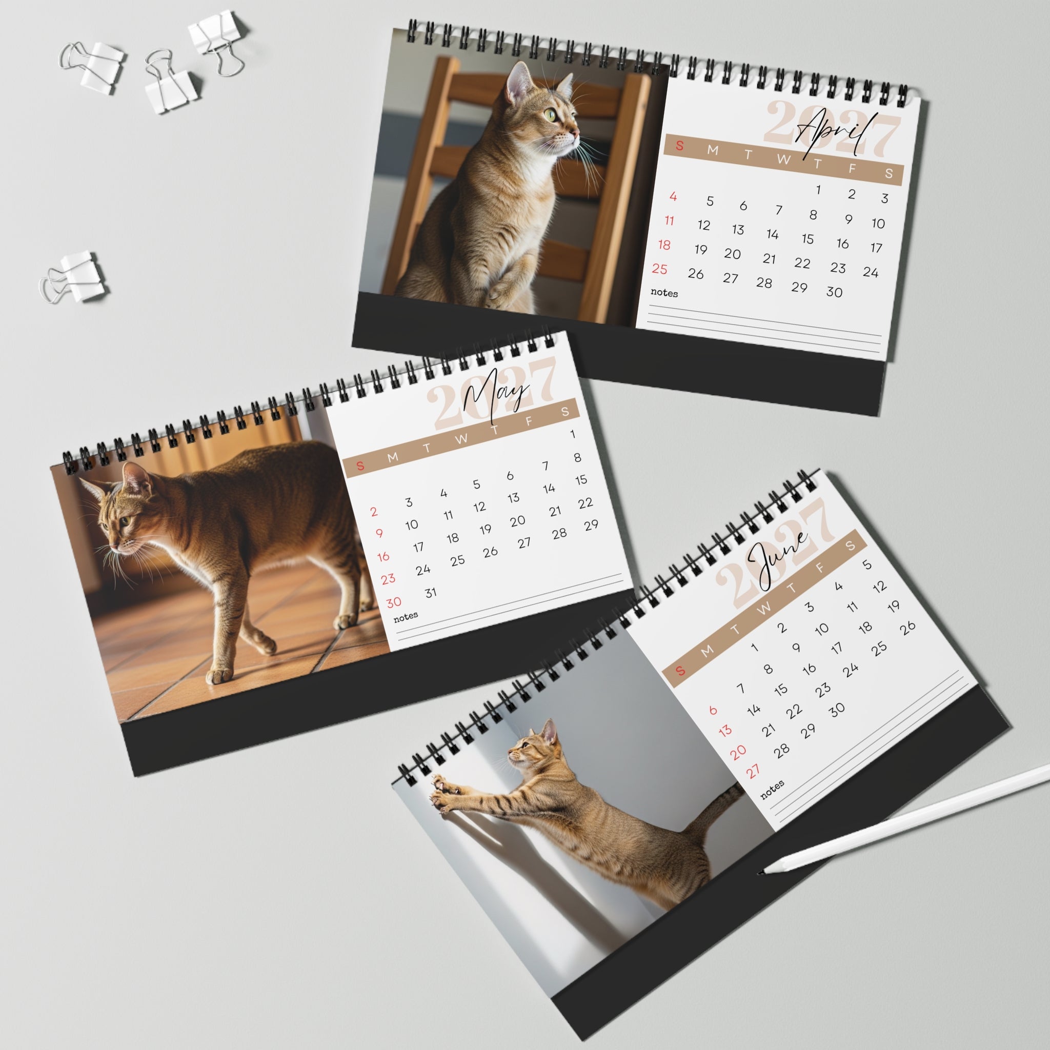 Chausie Cat Desk Calendar 2027